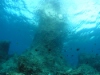 Dive Gallery