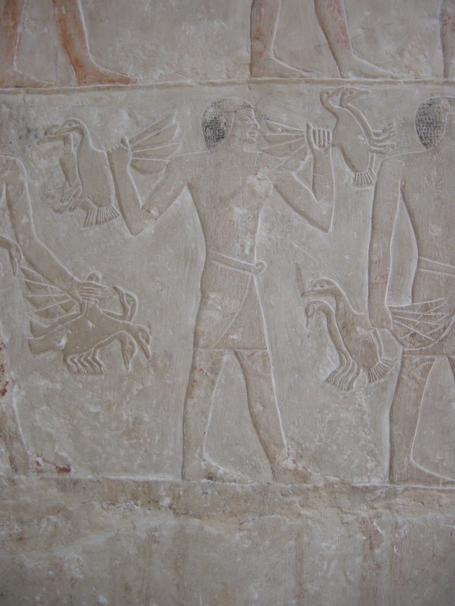 Klicken f�r Bild in voller Aufl�sung