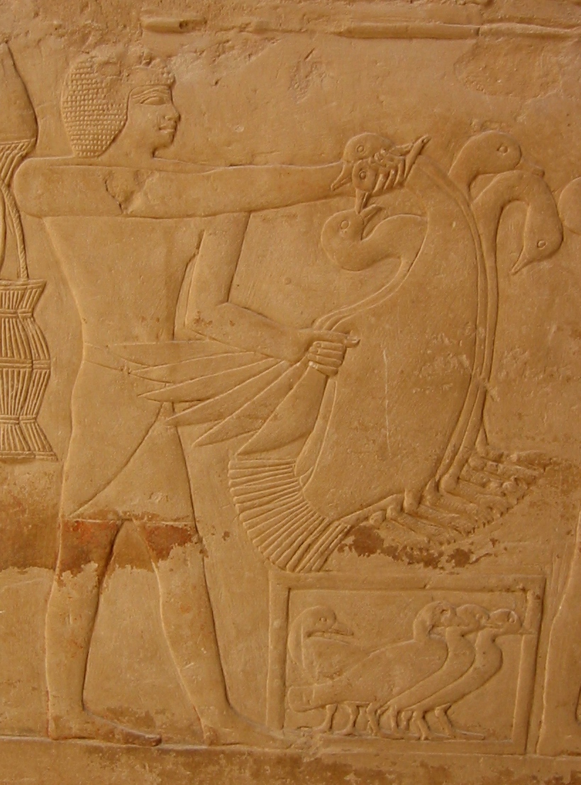 Klicken f�r Bild in voller Aufl�sung