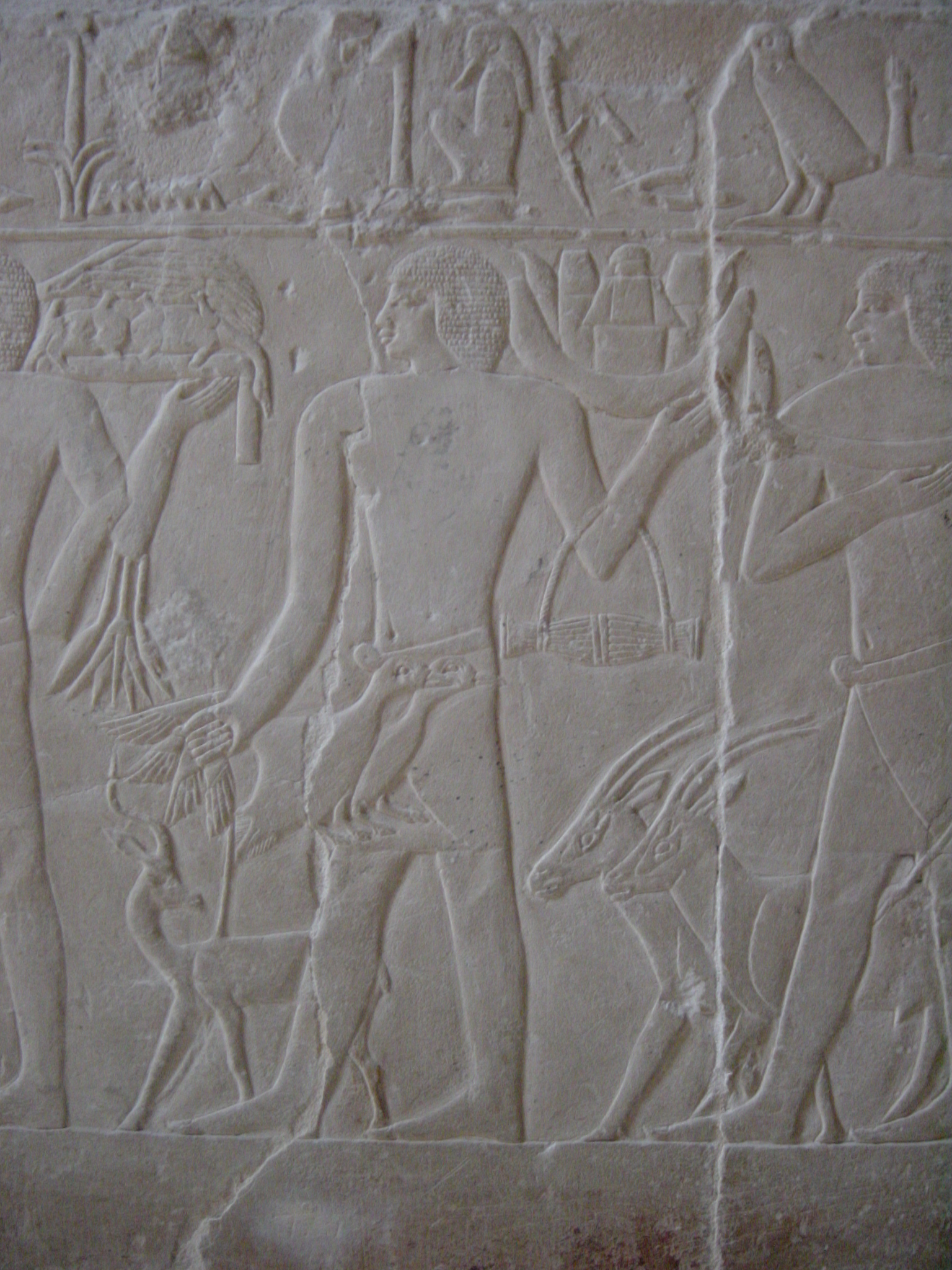 Klicken f�r Bild in voller Aufl�sung