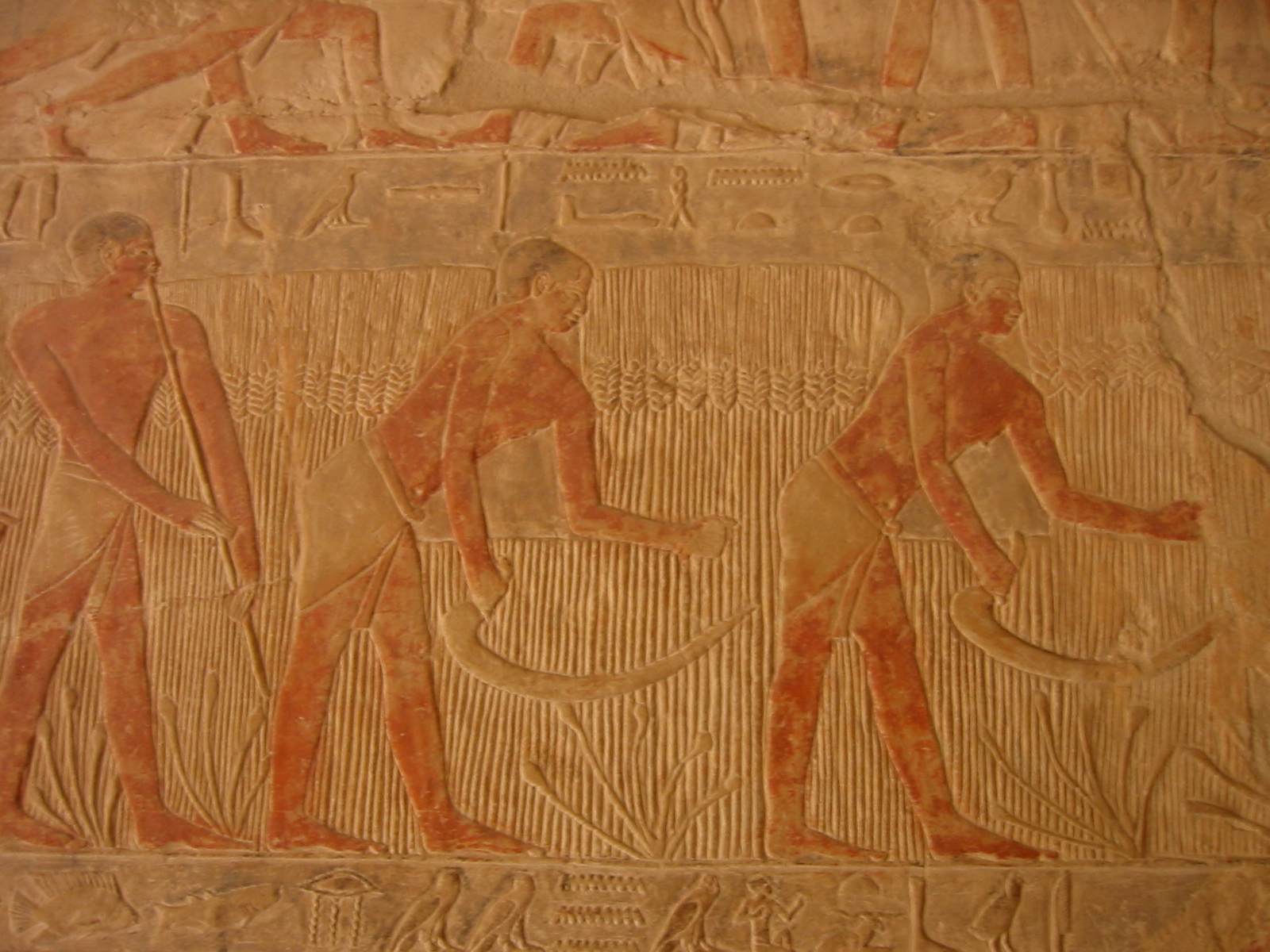 Klicken f�r Bild in voller Aufl�sung