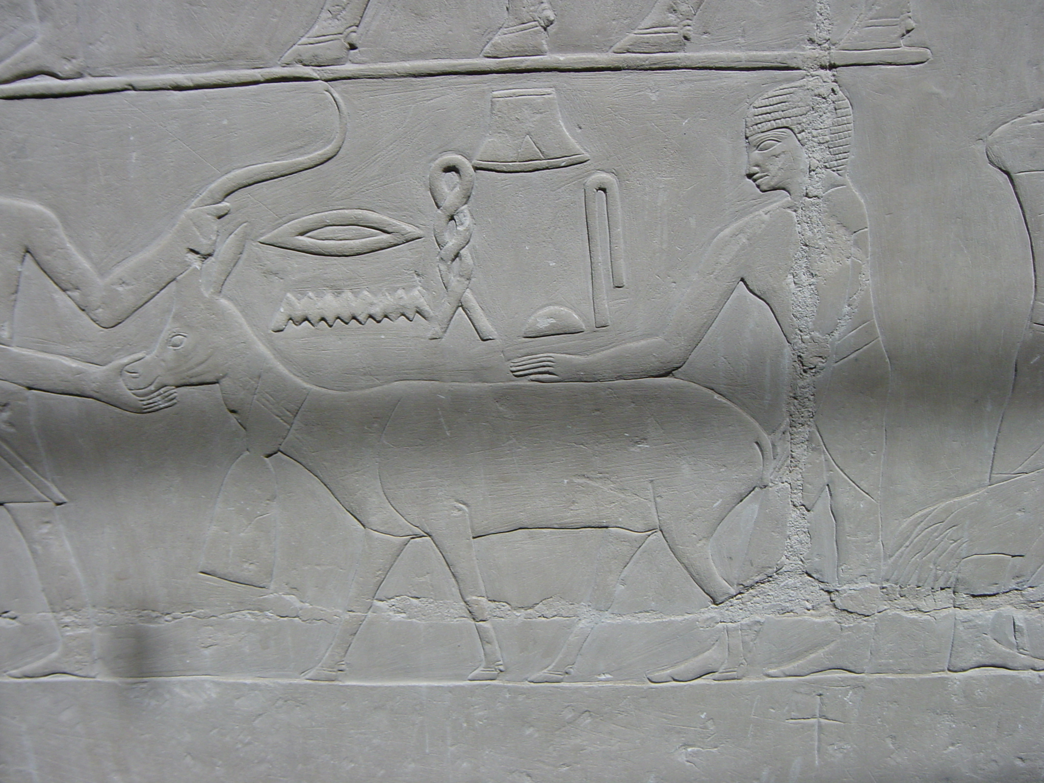 Klicken f�r Bild in voller Aufl�sung