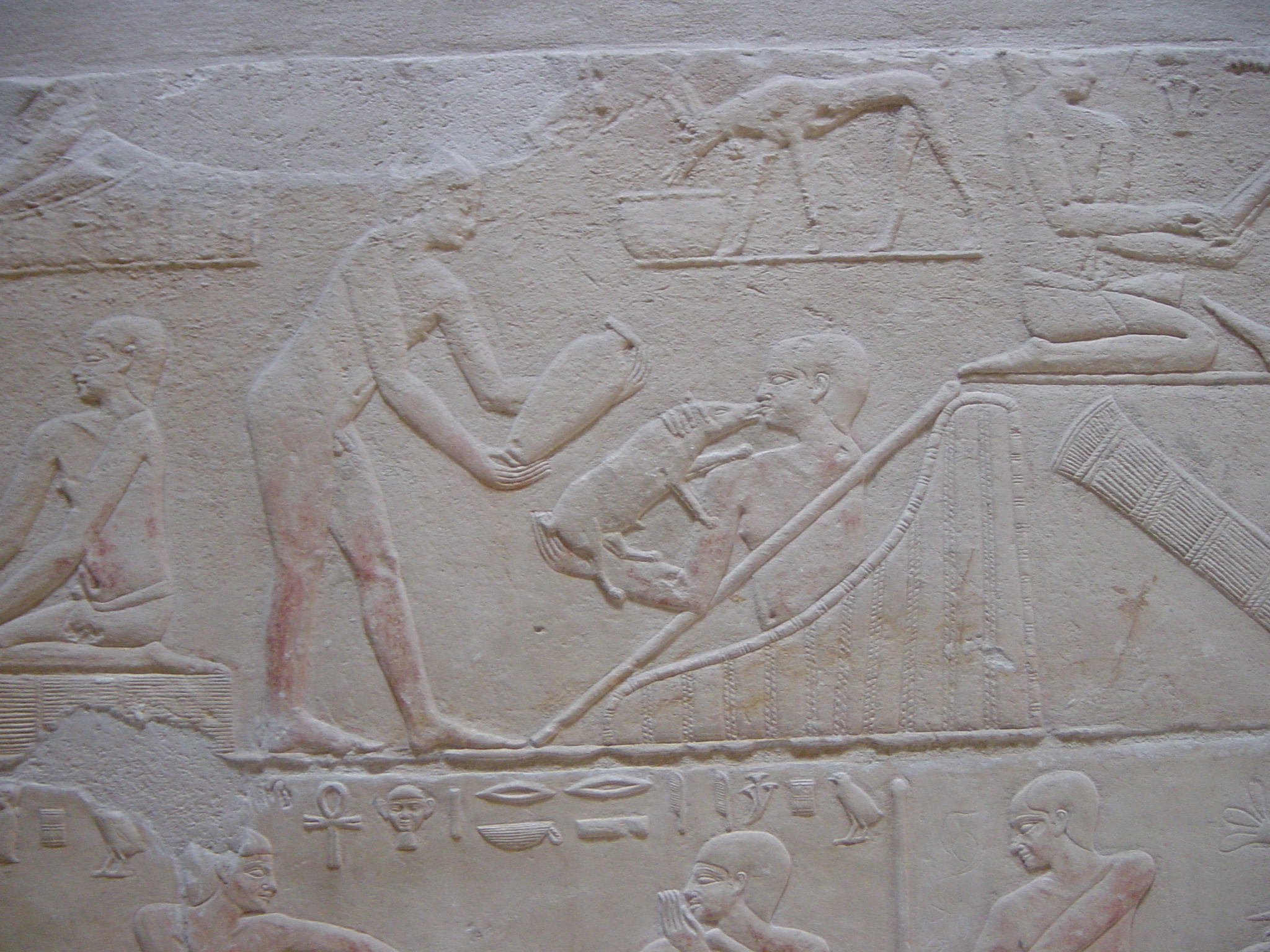 Klicken f�r Bild in voller Aufl�sung