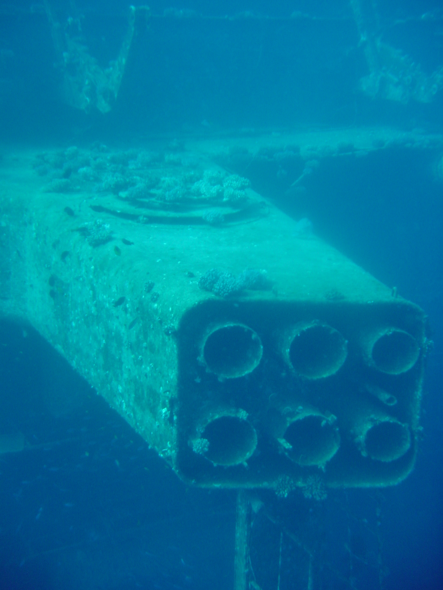 Klicken f�r Bild in voller Aufl�sung