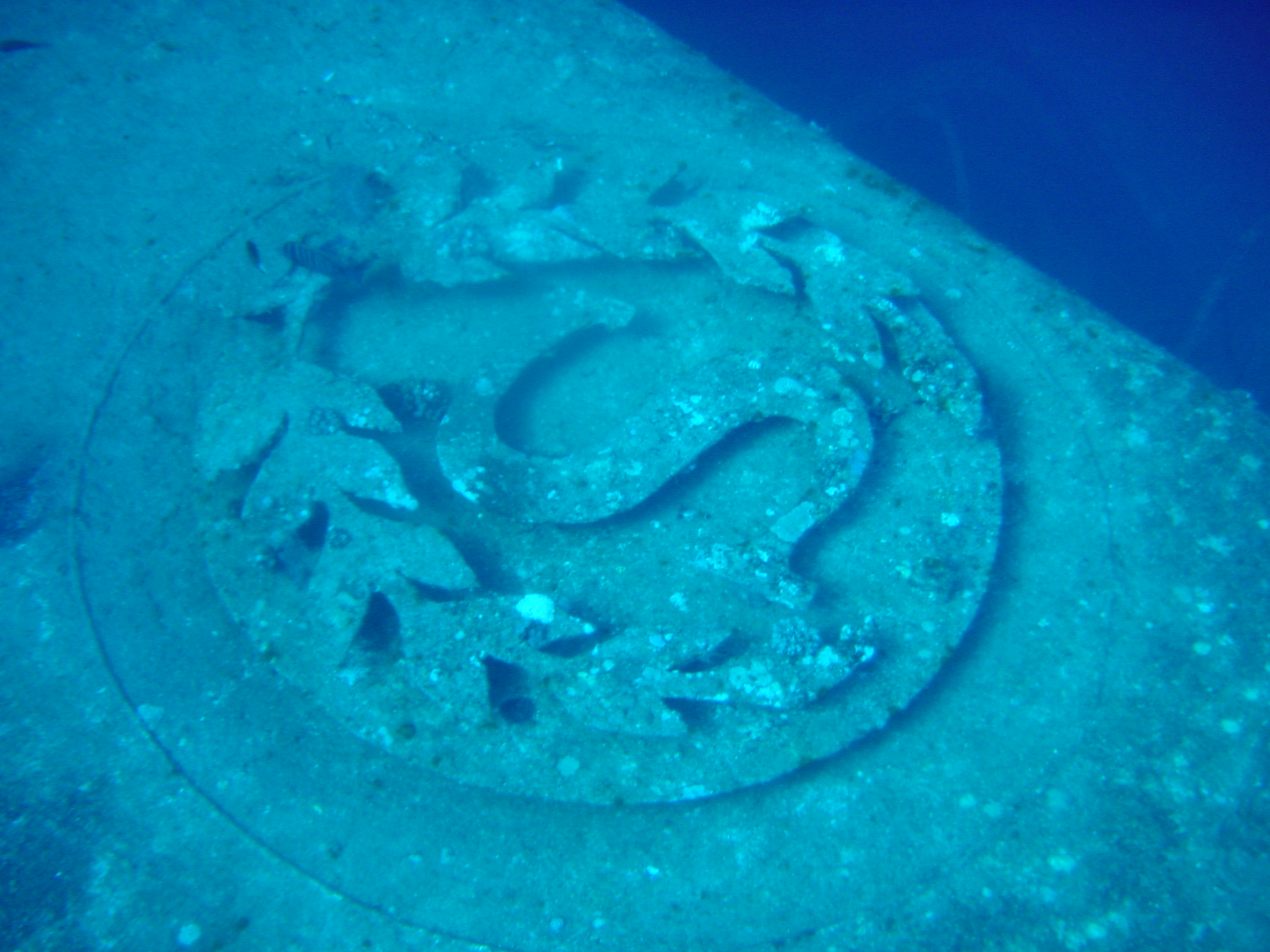 Klicken f�r Bild in voller Aufl�sung