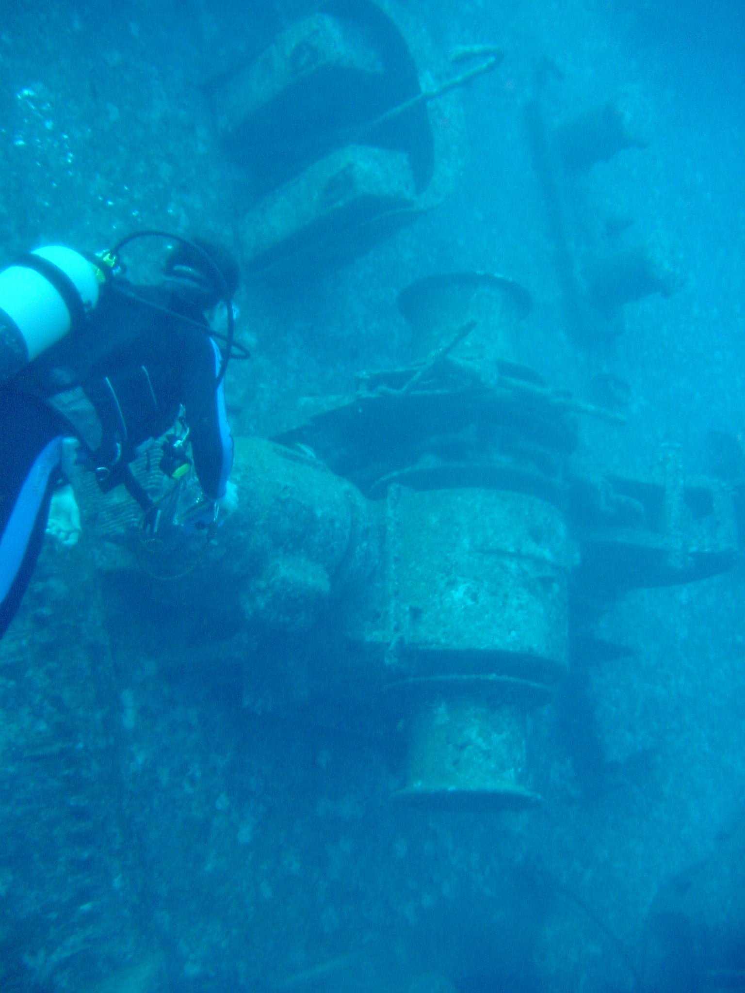 Klicken f�r Bild in voller Aufl�sung