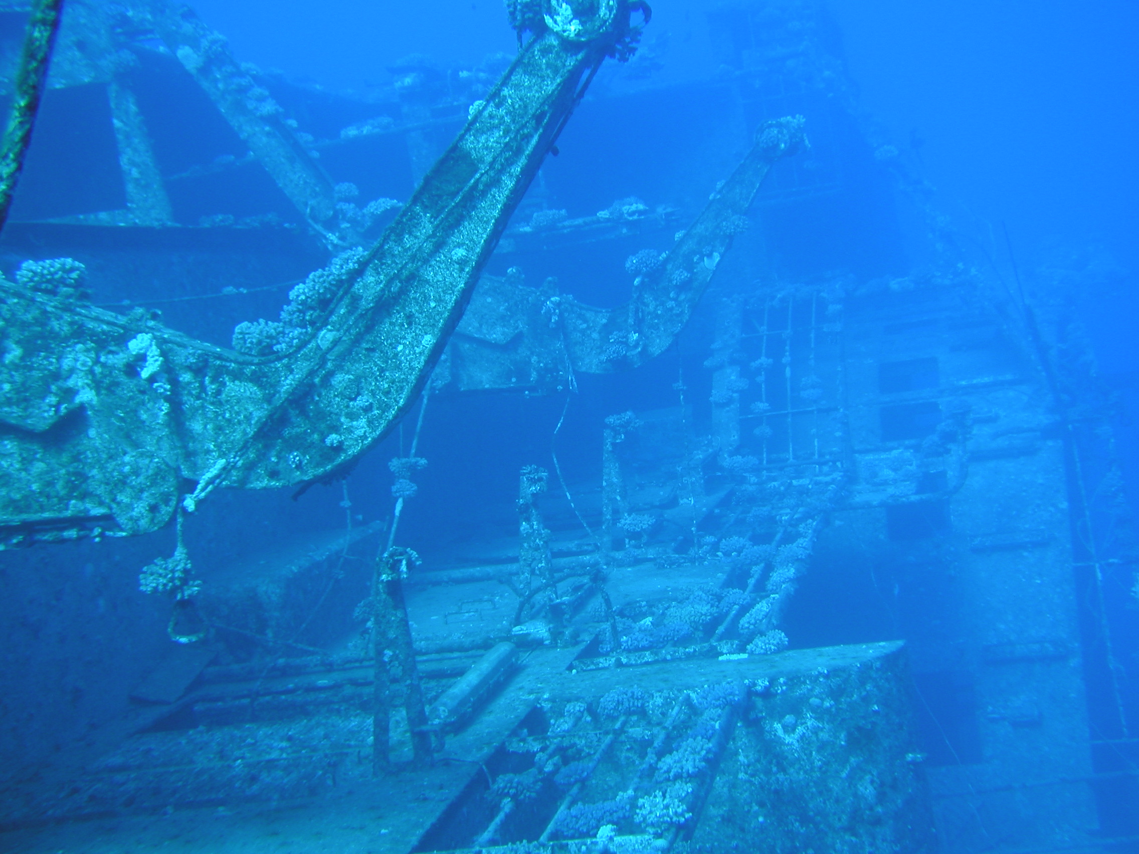 Klicken f�r Bild in voller Aufl�sung