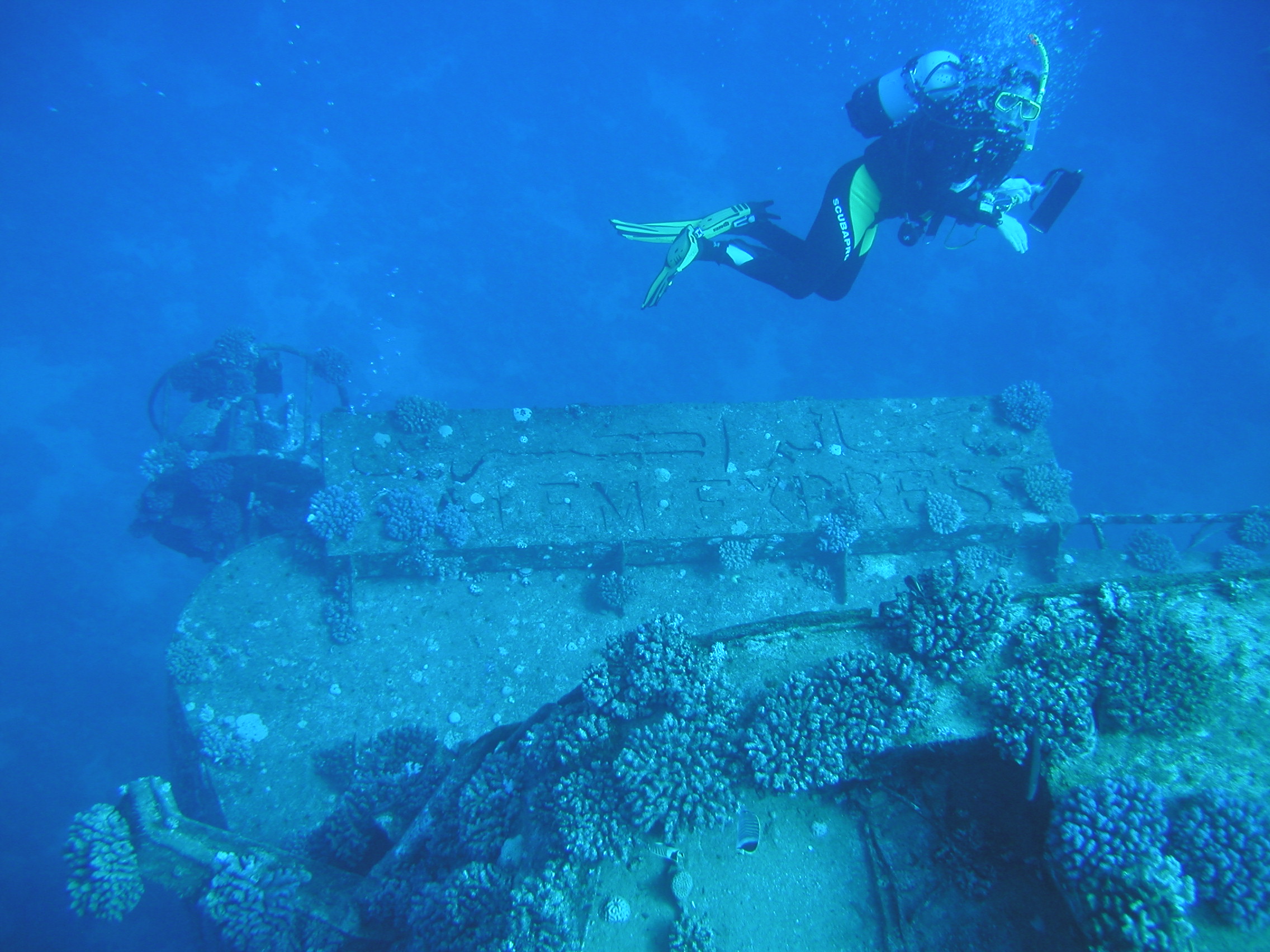 Klicken f�r Bild in voller Aufl�sung