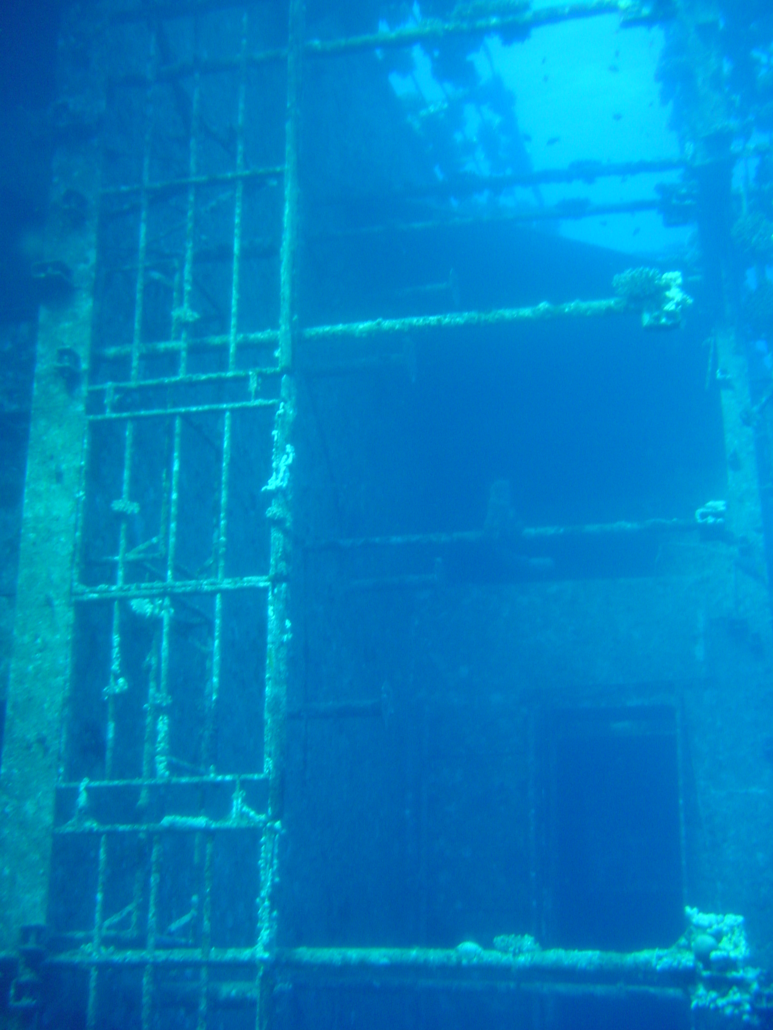 Klicken f�r Bild in voller Aufl�sung