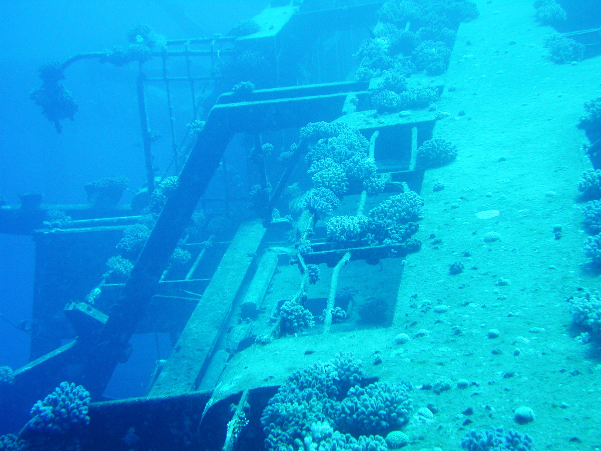 Klicken f�r Bild in voller Aufl�sung