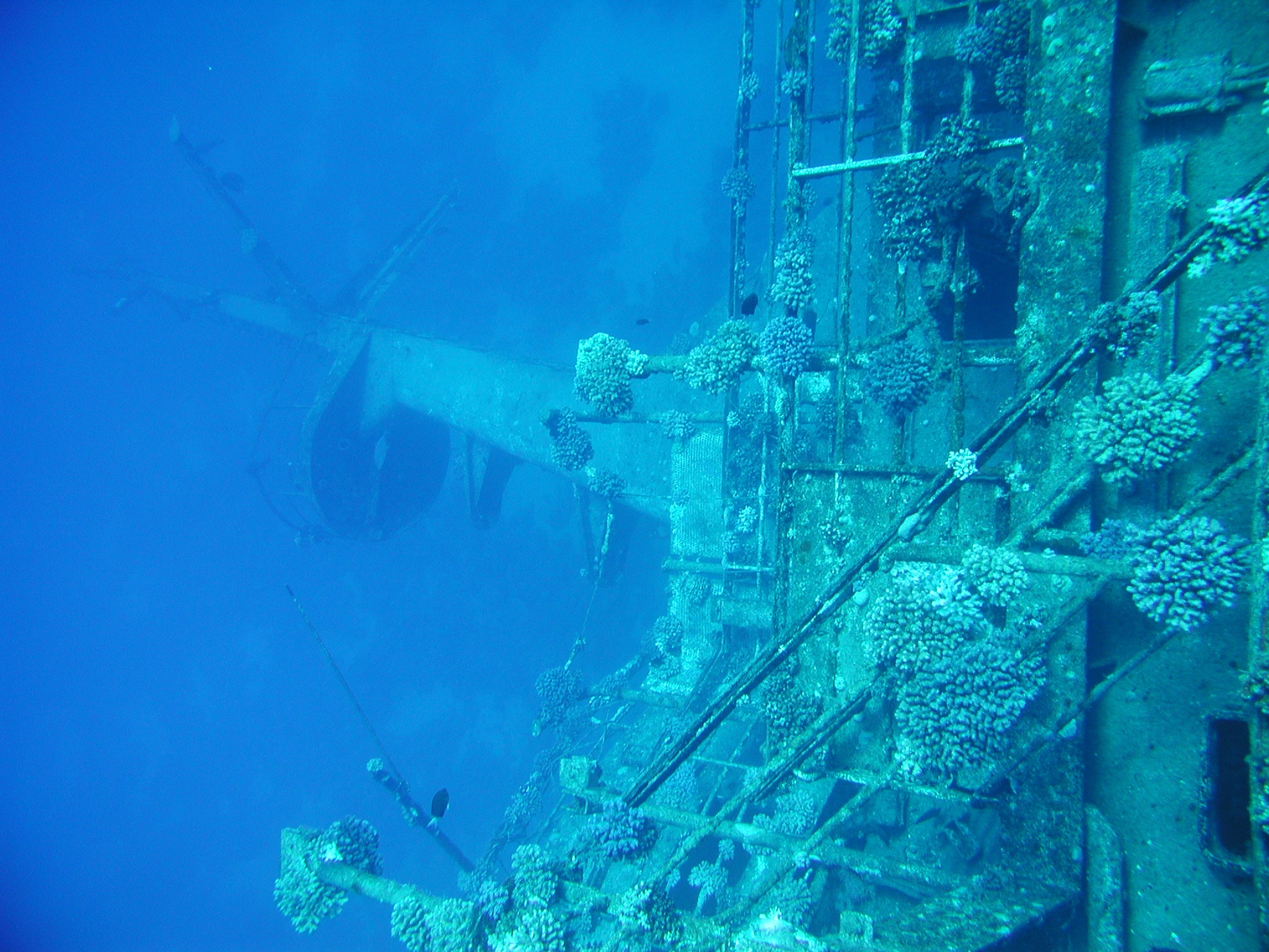 Klicken f�r Bild in voller Aufl�sung