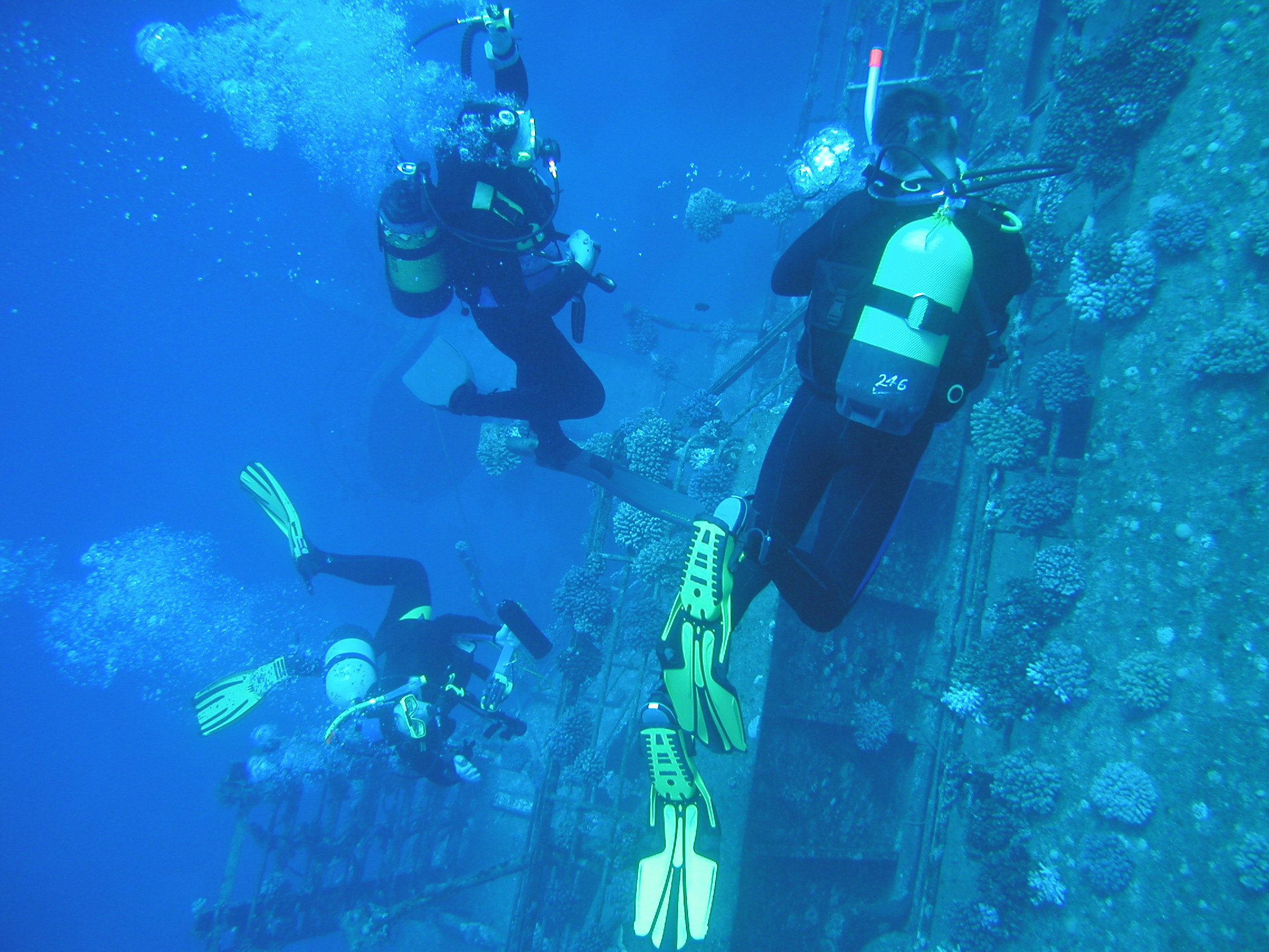 Klicken f�r Bild in voller Aufl�sung