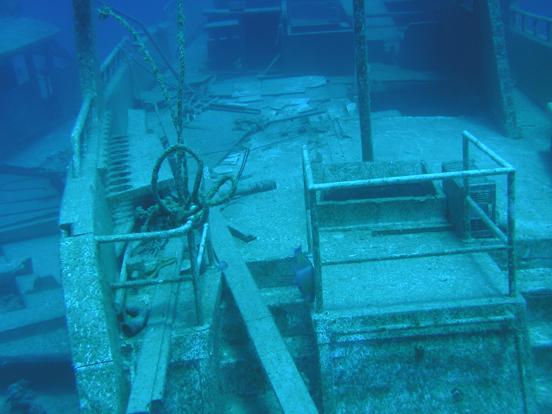 Klicken f�r Bild in voller Aufl�sung