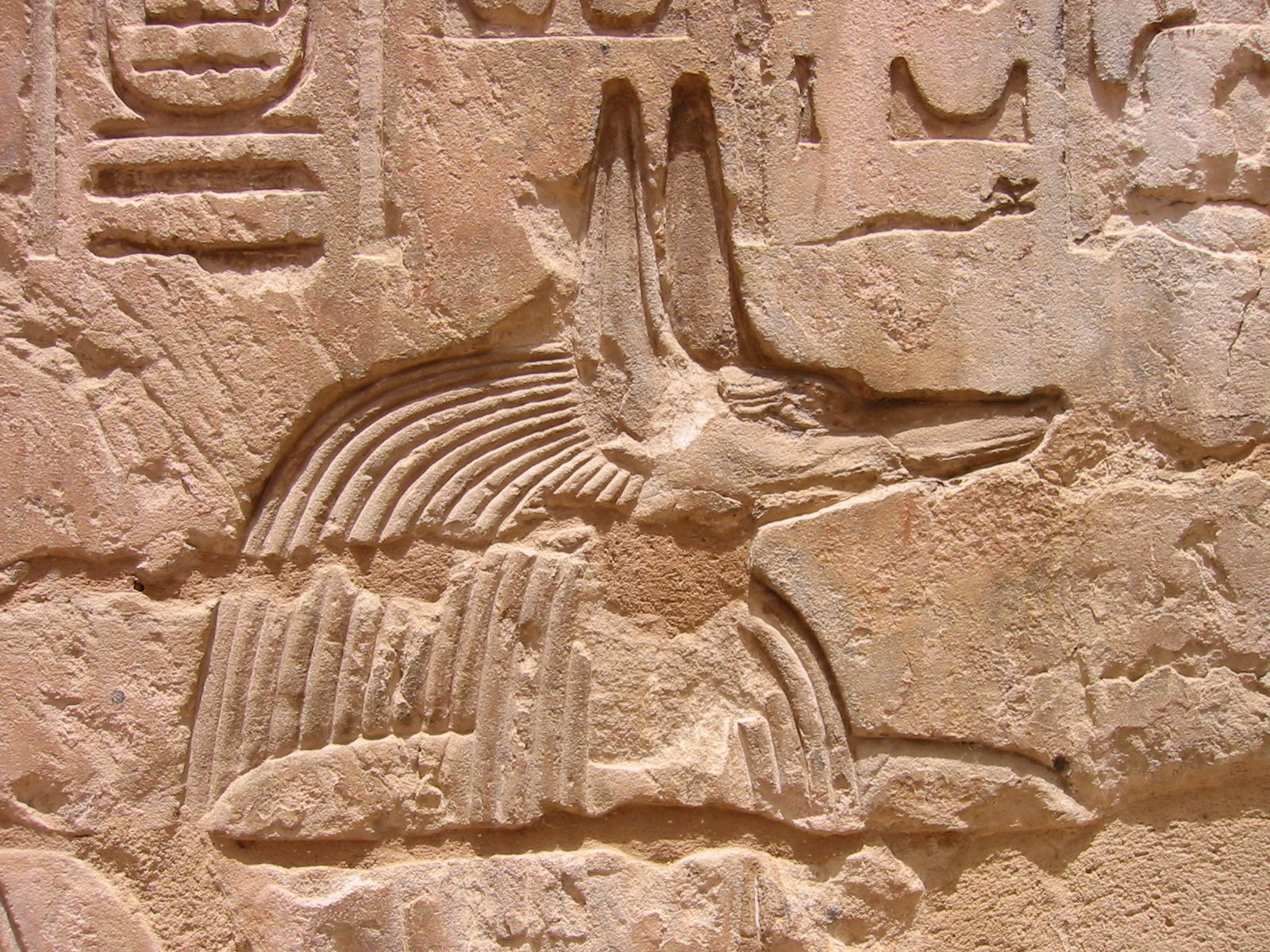 Klicken f�r Bild in voller Aufl�sung