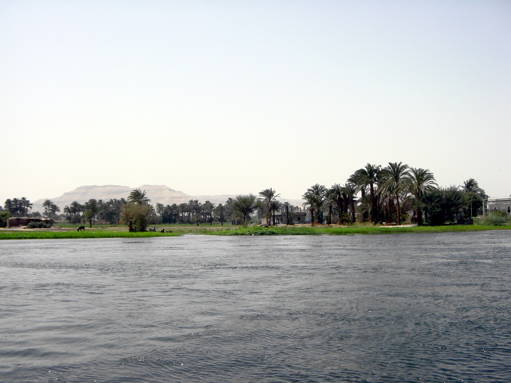 Klicken f�r Bild in voller Aufl�sung