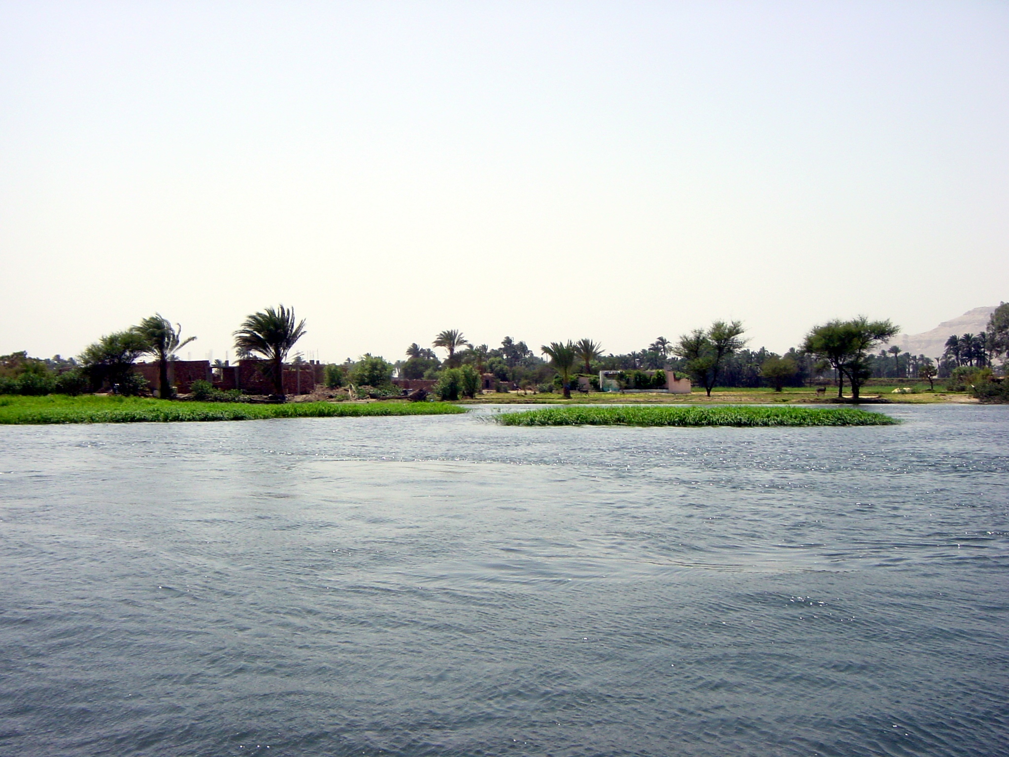 Klicken f�r Bild in voller Aufl�sung