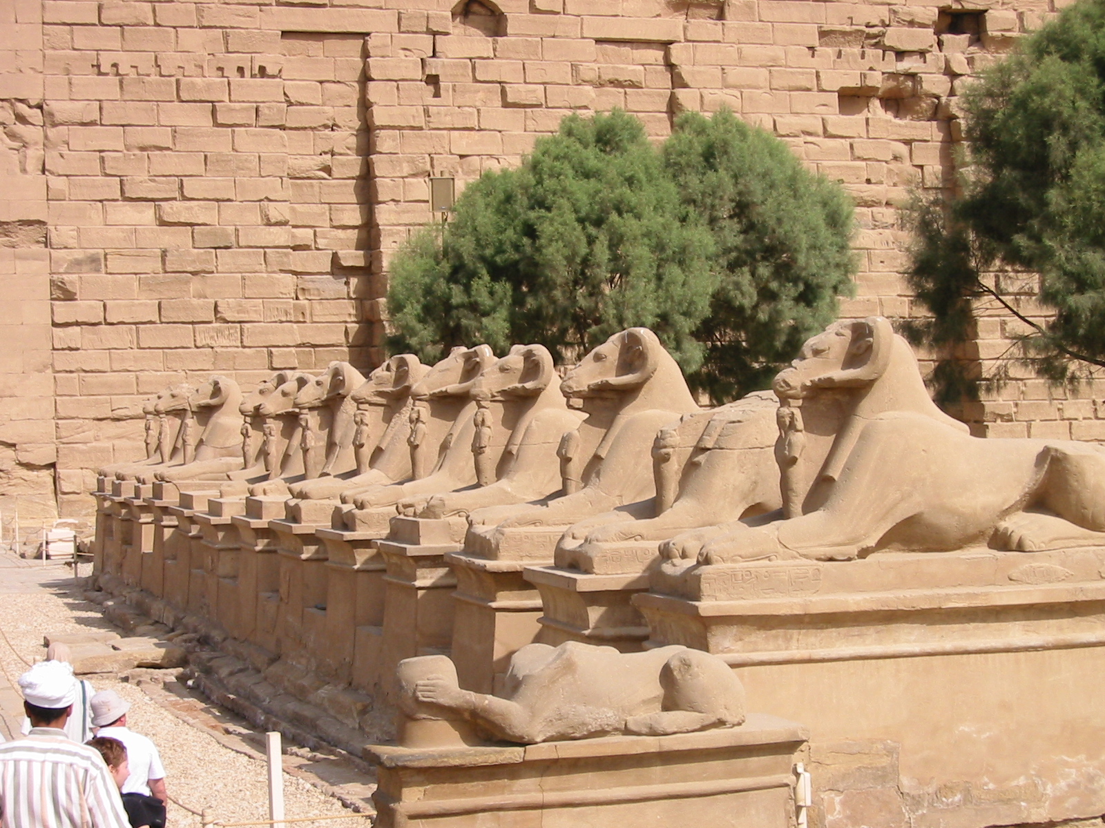 Klicken f�r Bild in voller Aufl�sung