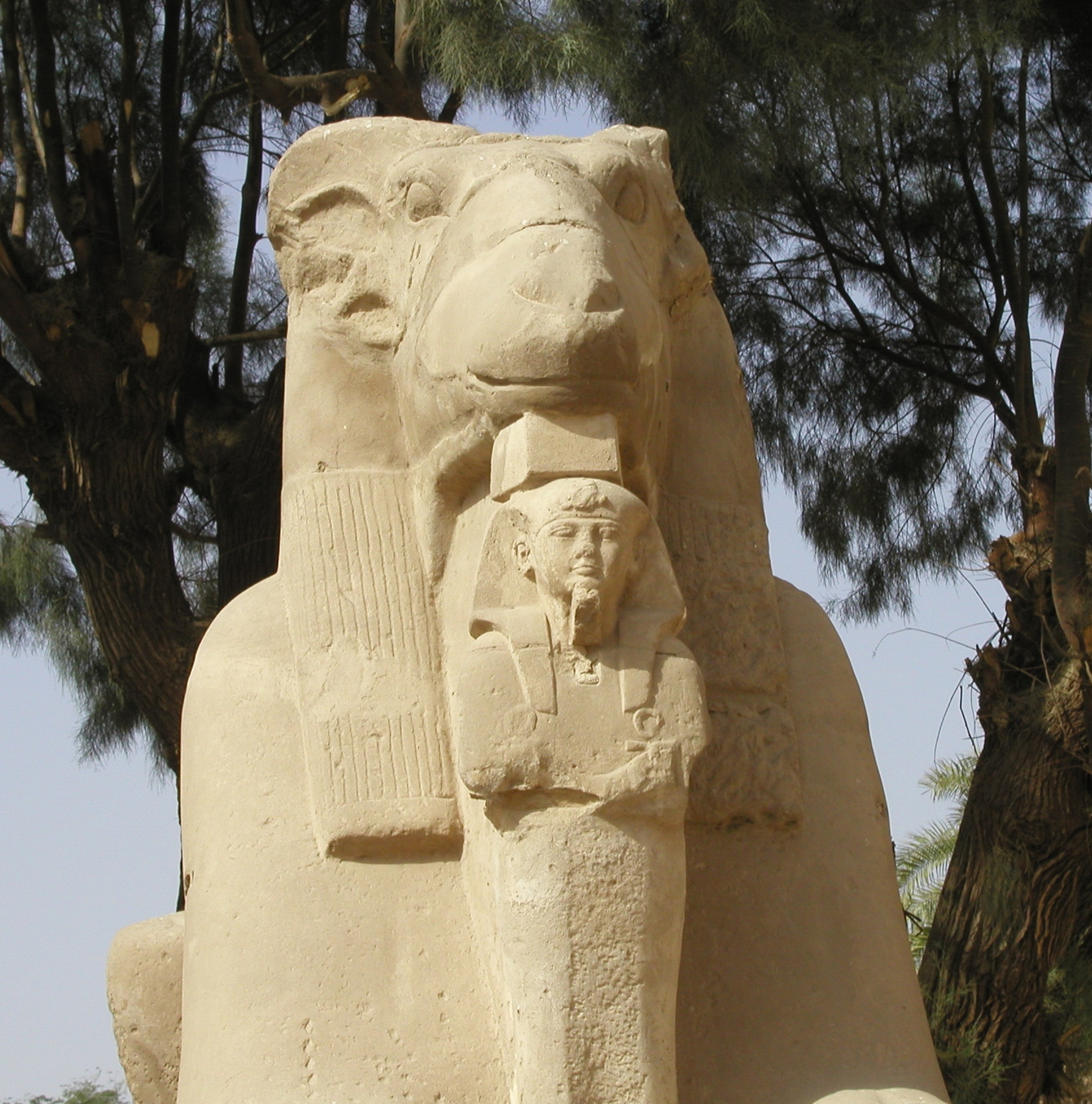 Klicken f�r Bild in voller Aufl�sung