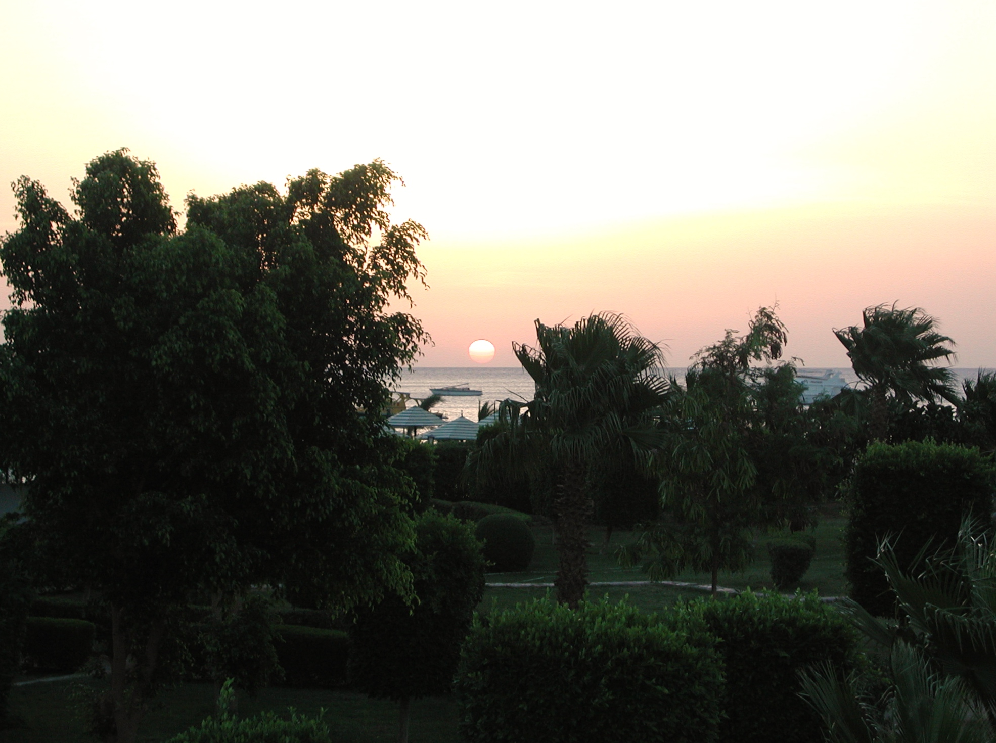 Klicken f�r Bild in voller Aufl�sung