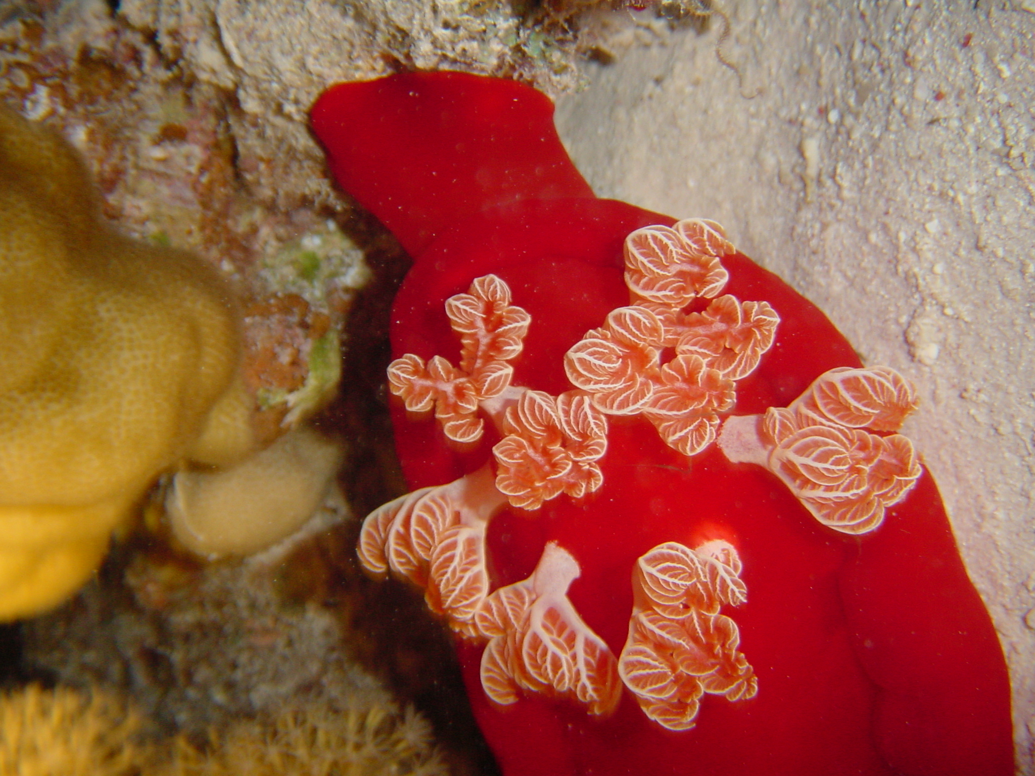 Klicken f�r Bild in voller Aufl�sung