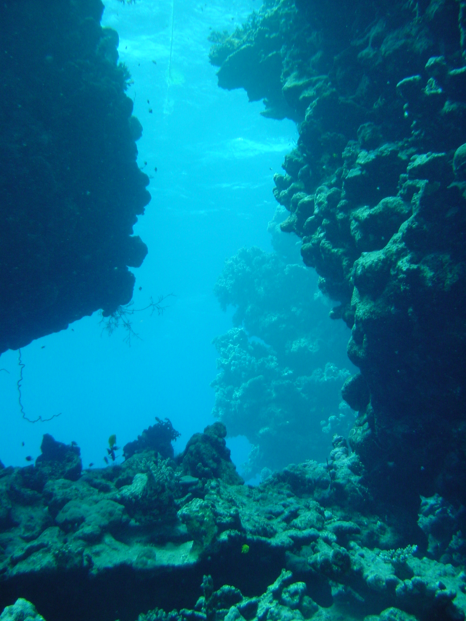 Klicken f�r Bild in voller Aufl�sung