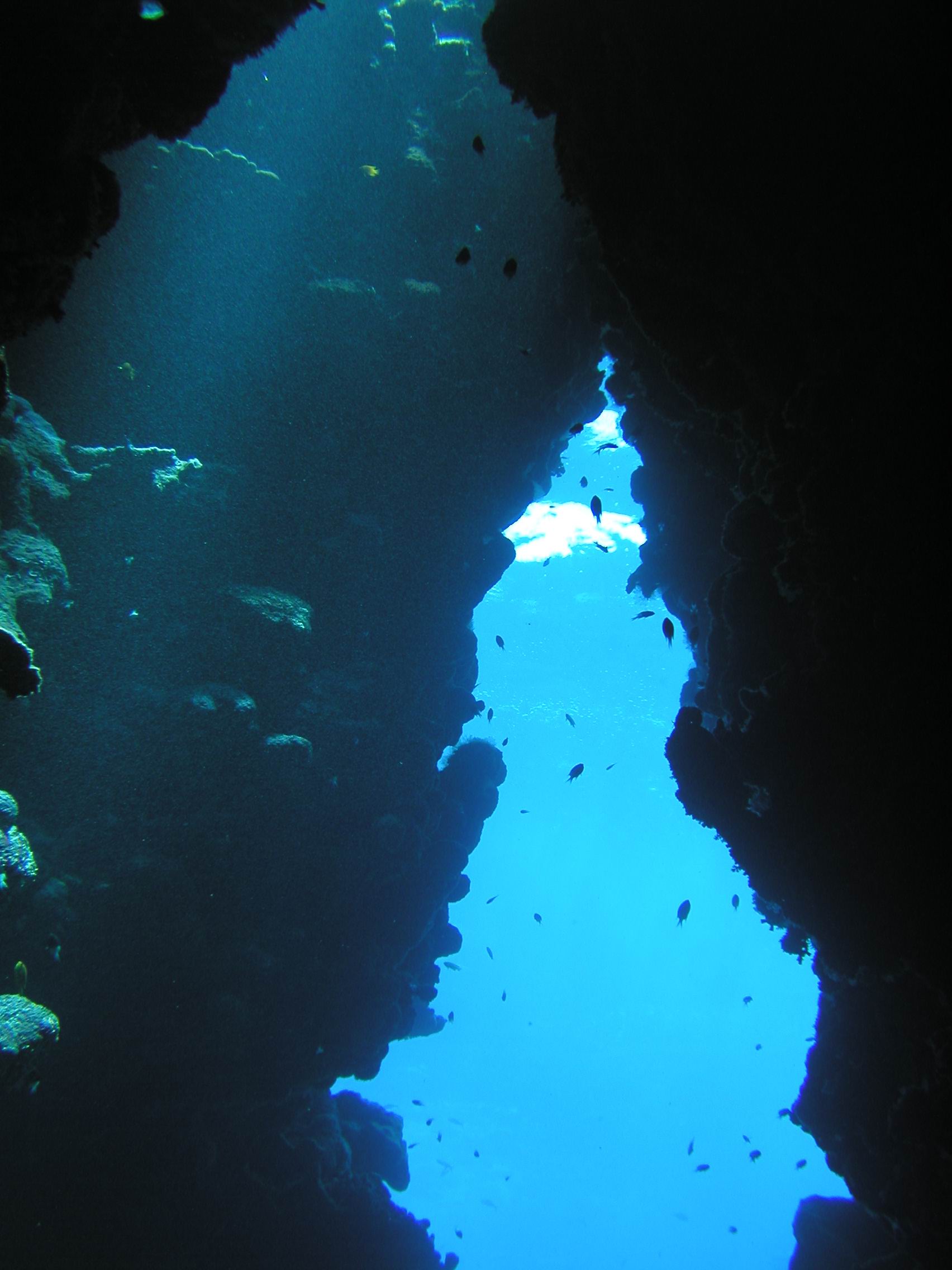 Klicken f�r Bild in voller Aufl�sung