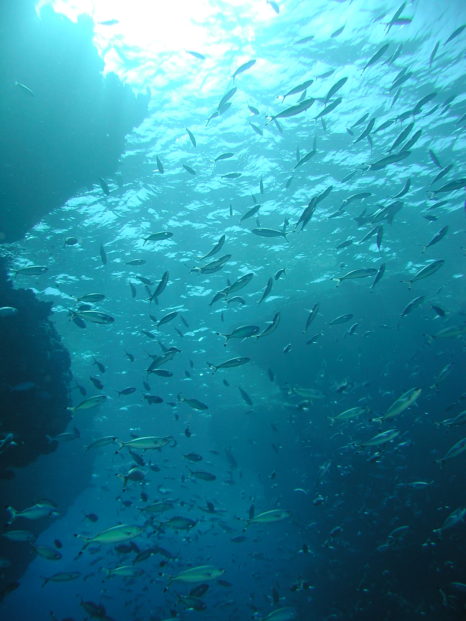 Klicken f�r Bild in voller Aufl�sung