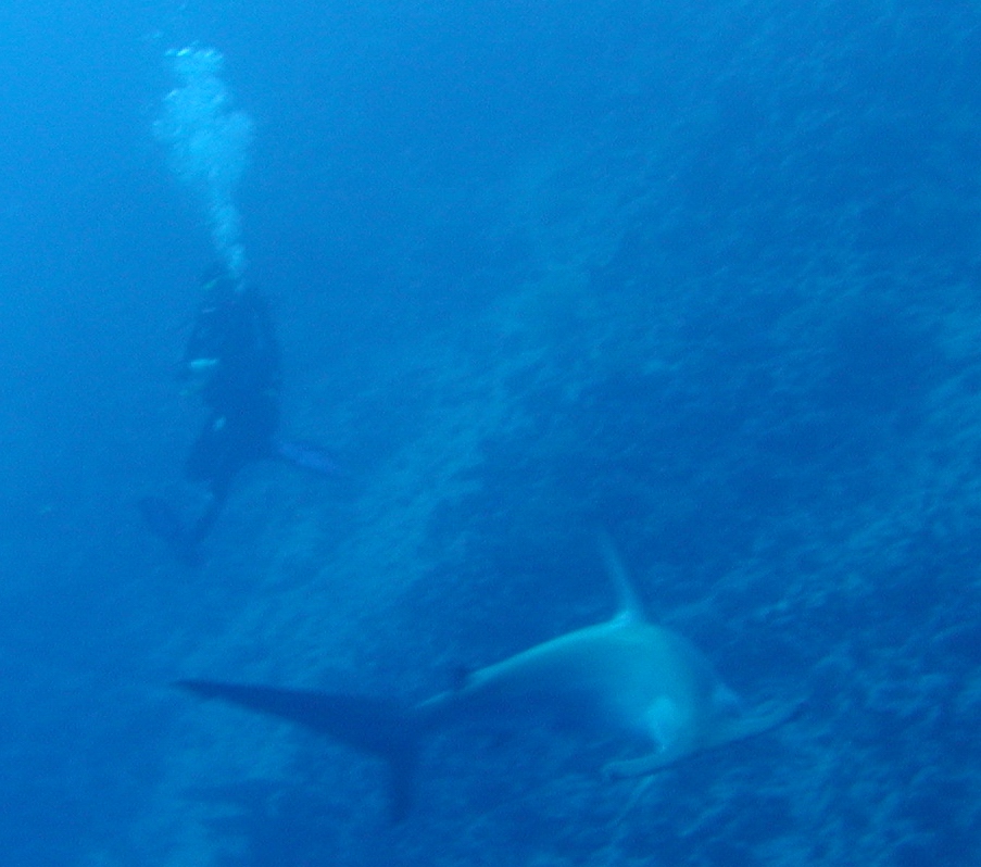 Klicken f�r Bild in voller Aufl�sung