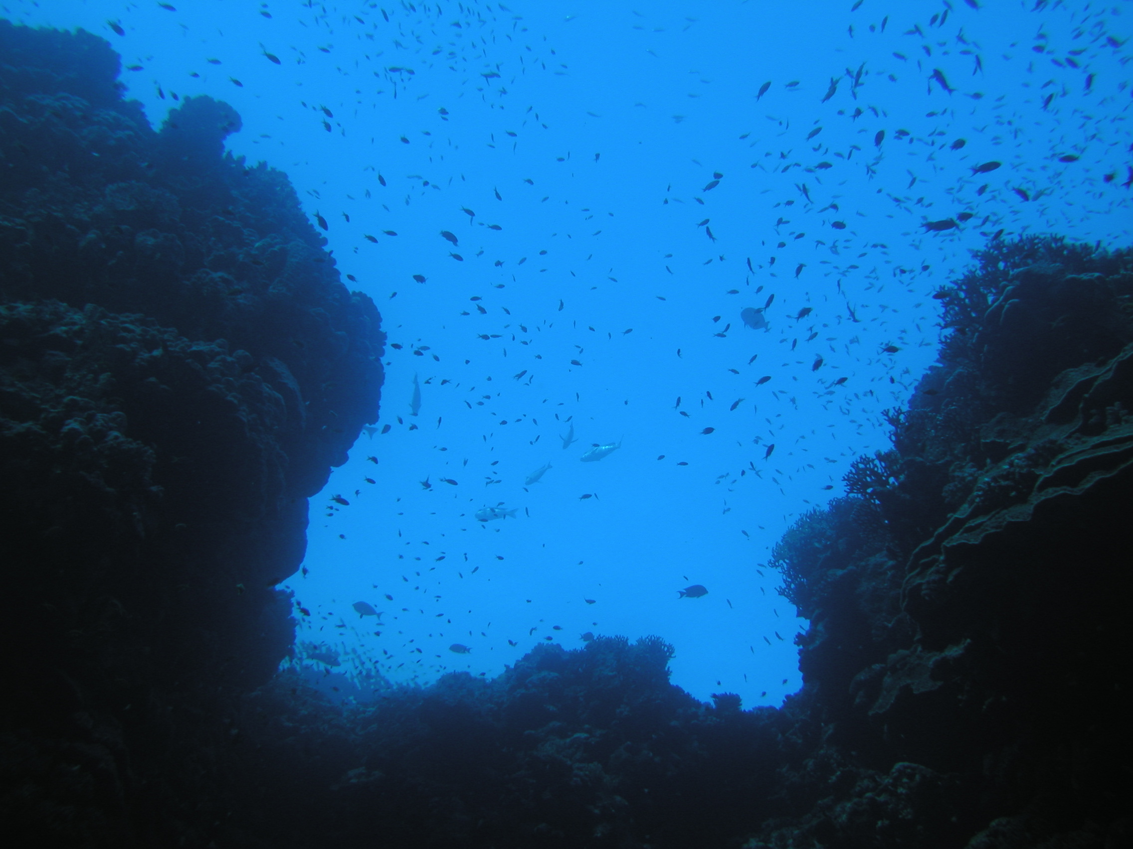 Klicken f�r Bild in voller Aufl�sung