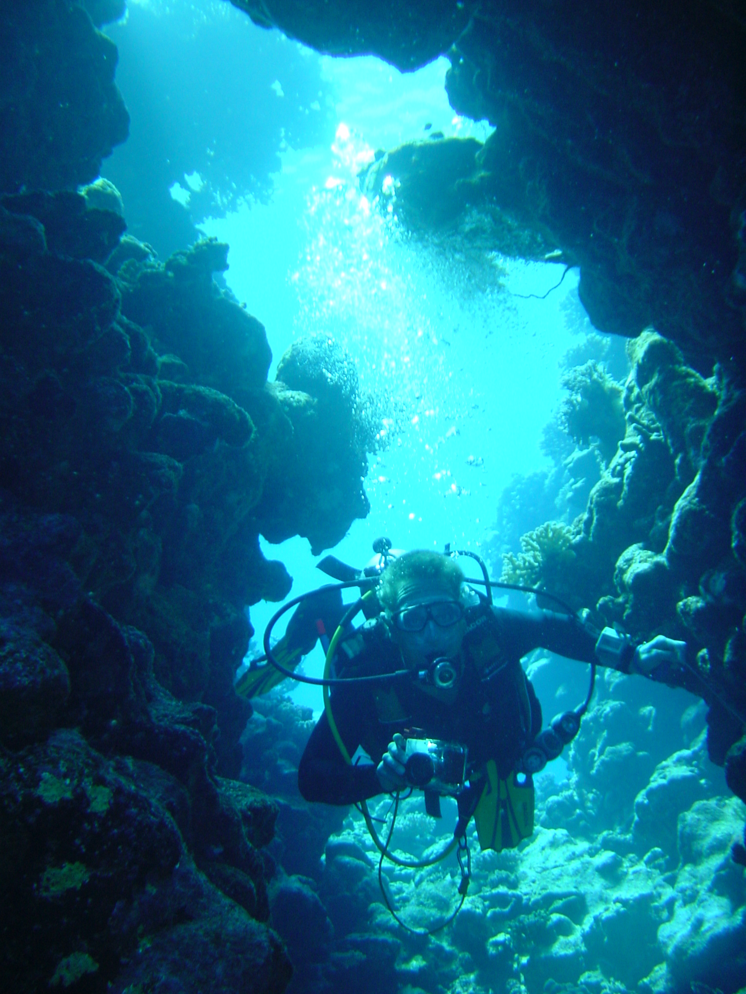 Klicken f�r Bild in voller Aufl�sung