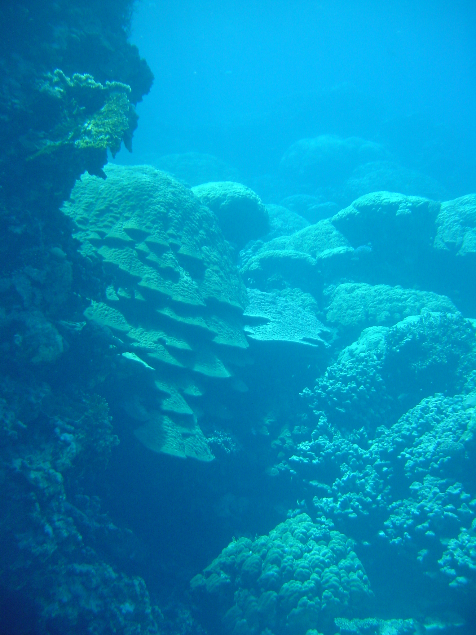 Klicken f�r Bild in voller Aufl�sung