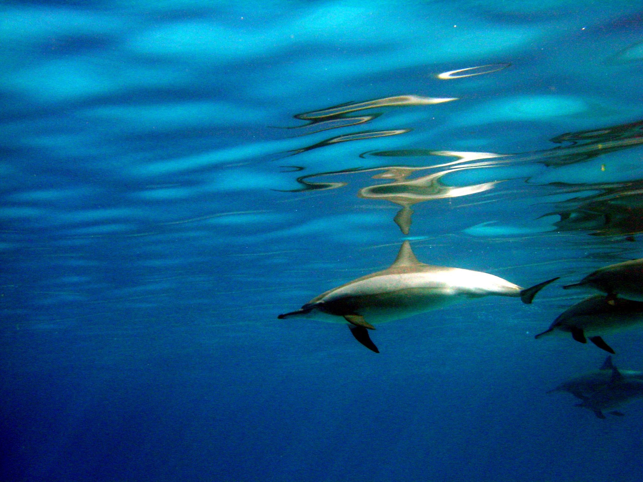 Klicken f�r Bild in voller Aufl�sung