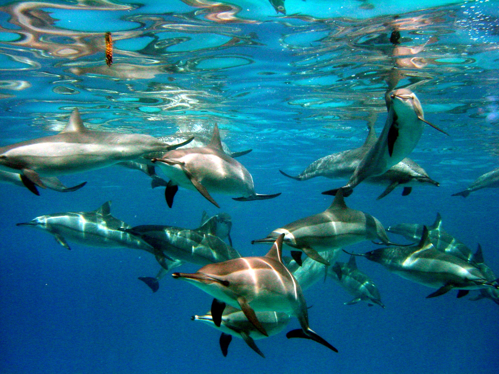 Klicken f�r Bild in voller Aufl�sung