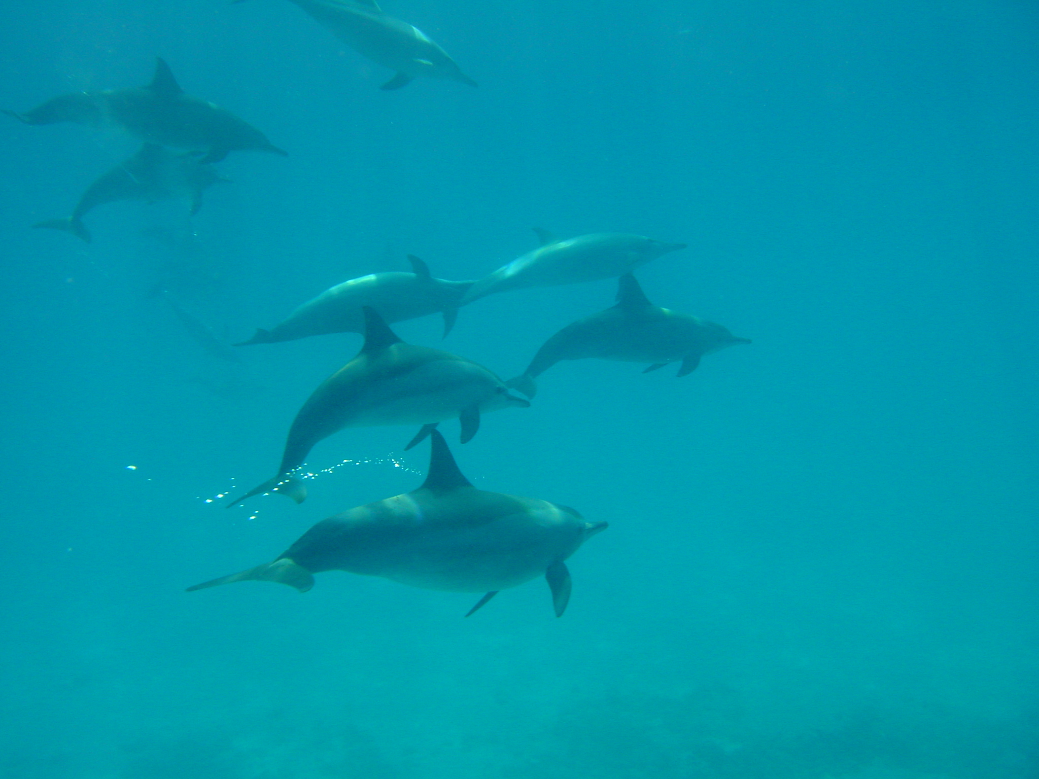 Klicken f�r Bild in voller Aufl�sung