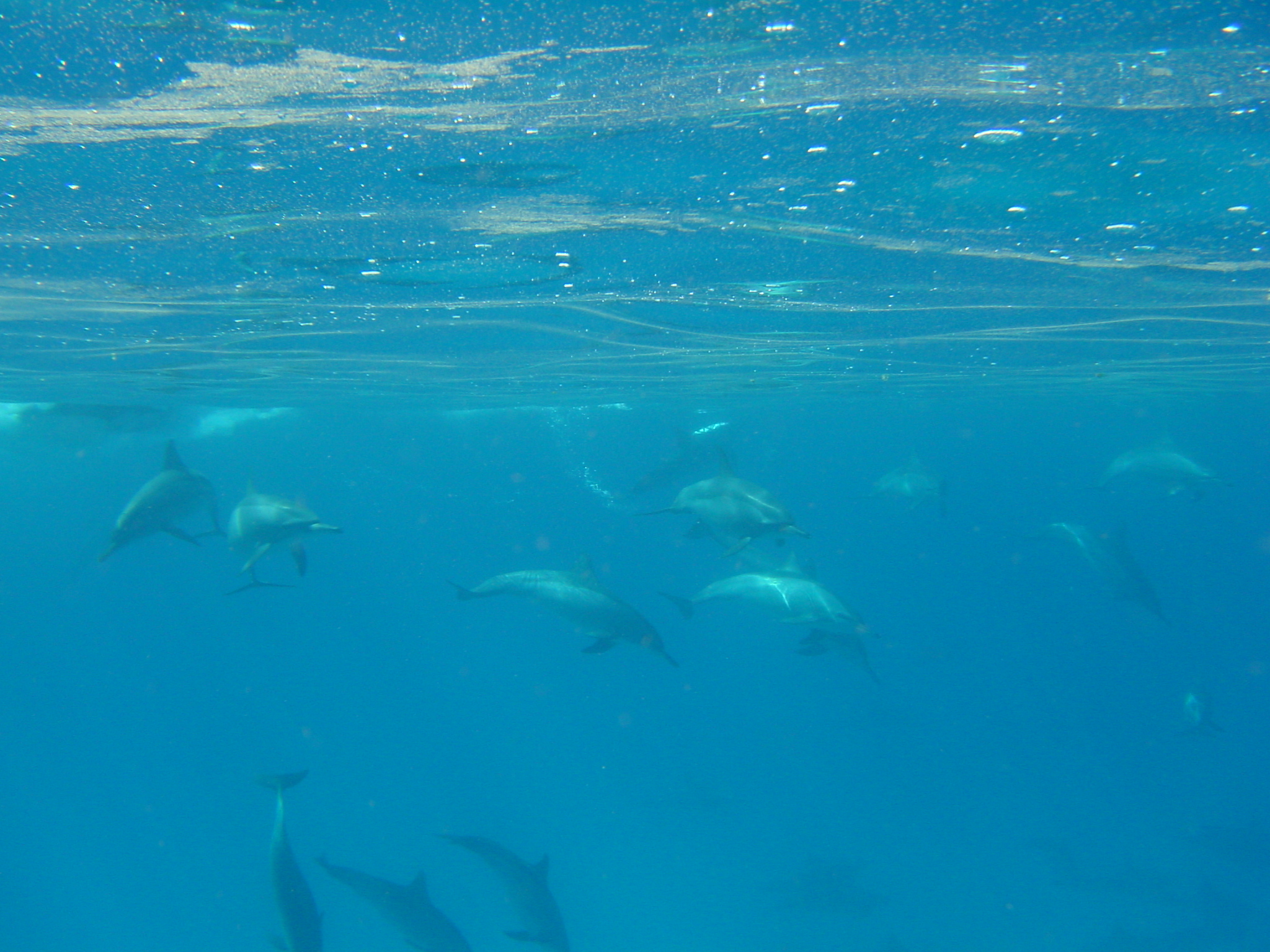 Klicken f�r Bild in voller Aufl�sung