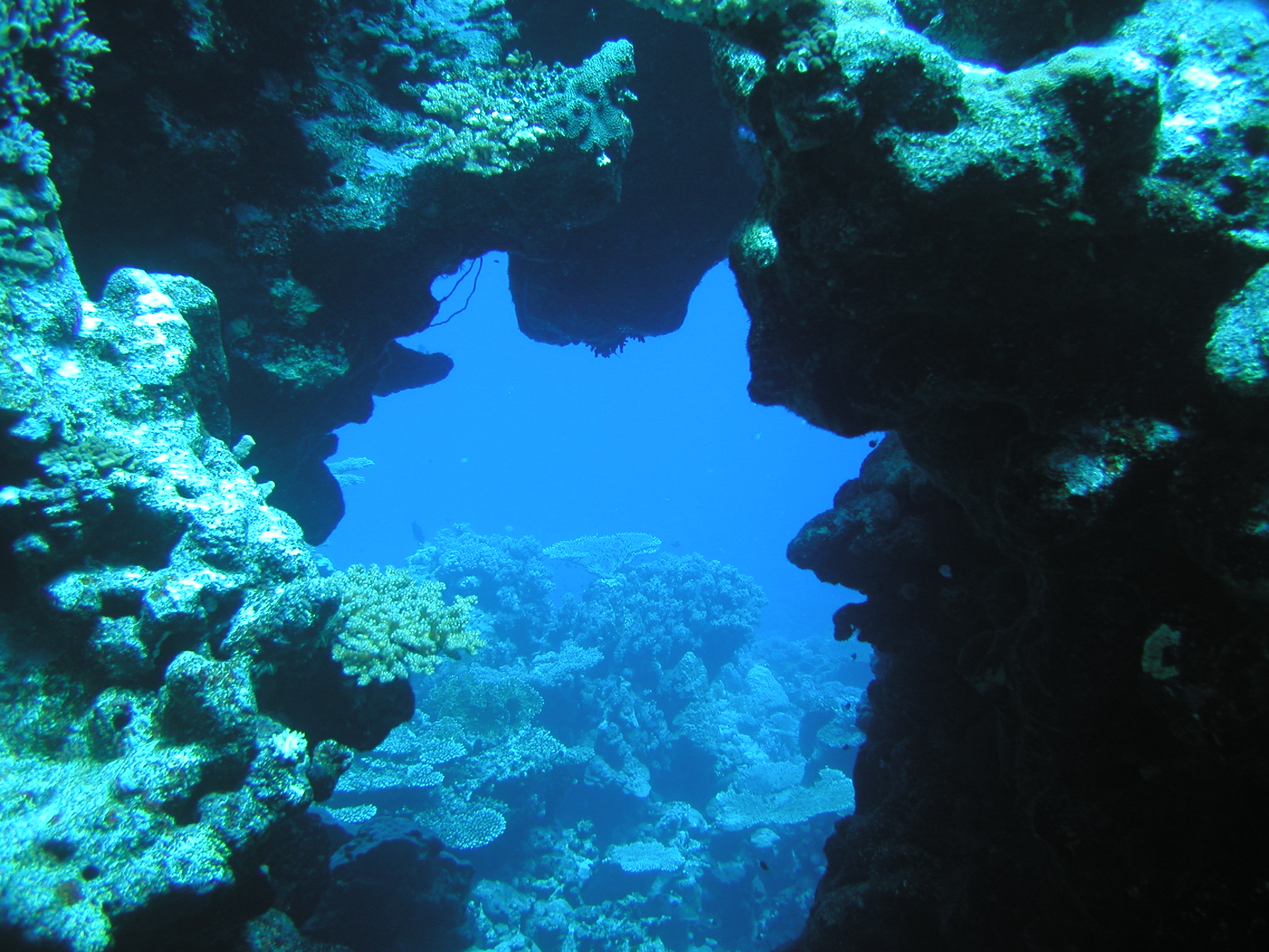 Klicken f�r Bild in voller Aufl�sung