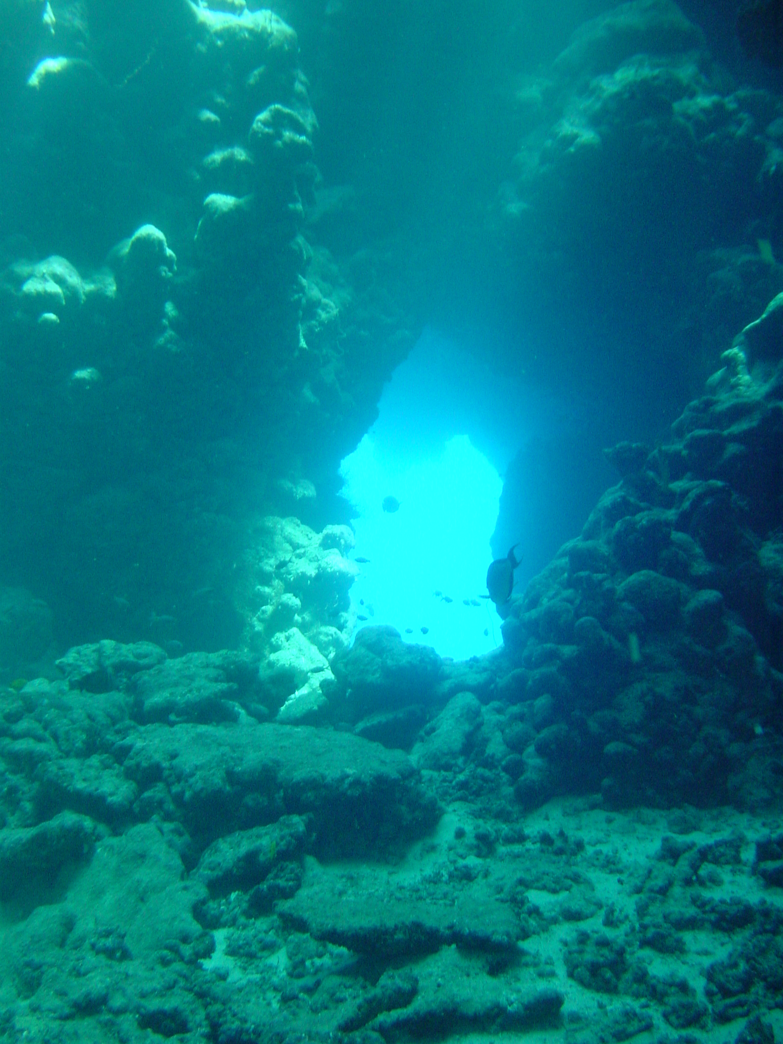 Klicken f�r Bild in voller Aufl�sung