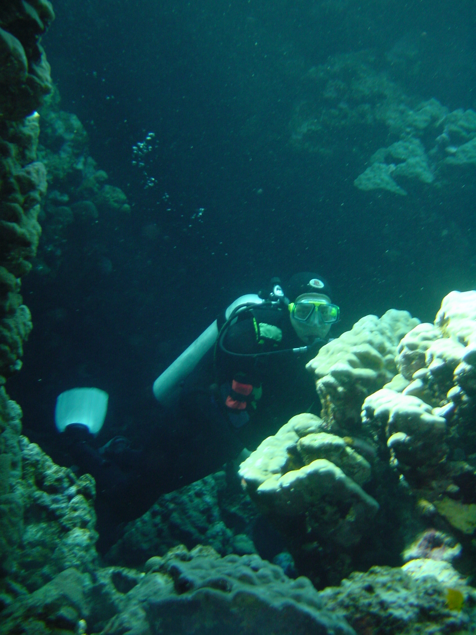 Klicken f�r Bild in voller Aufl�sung