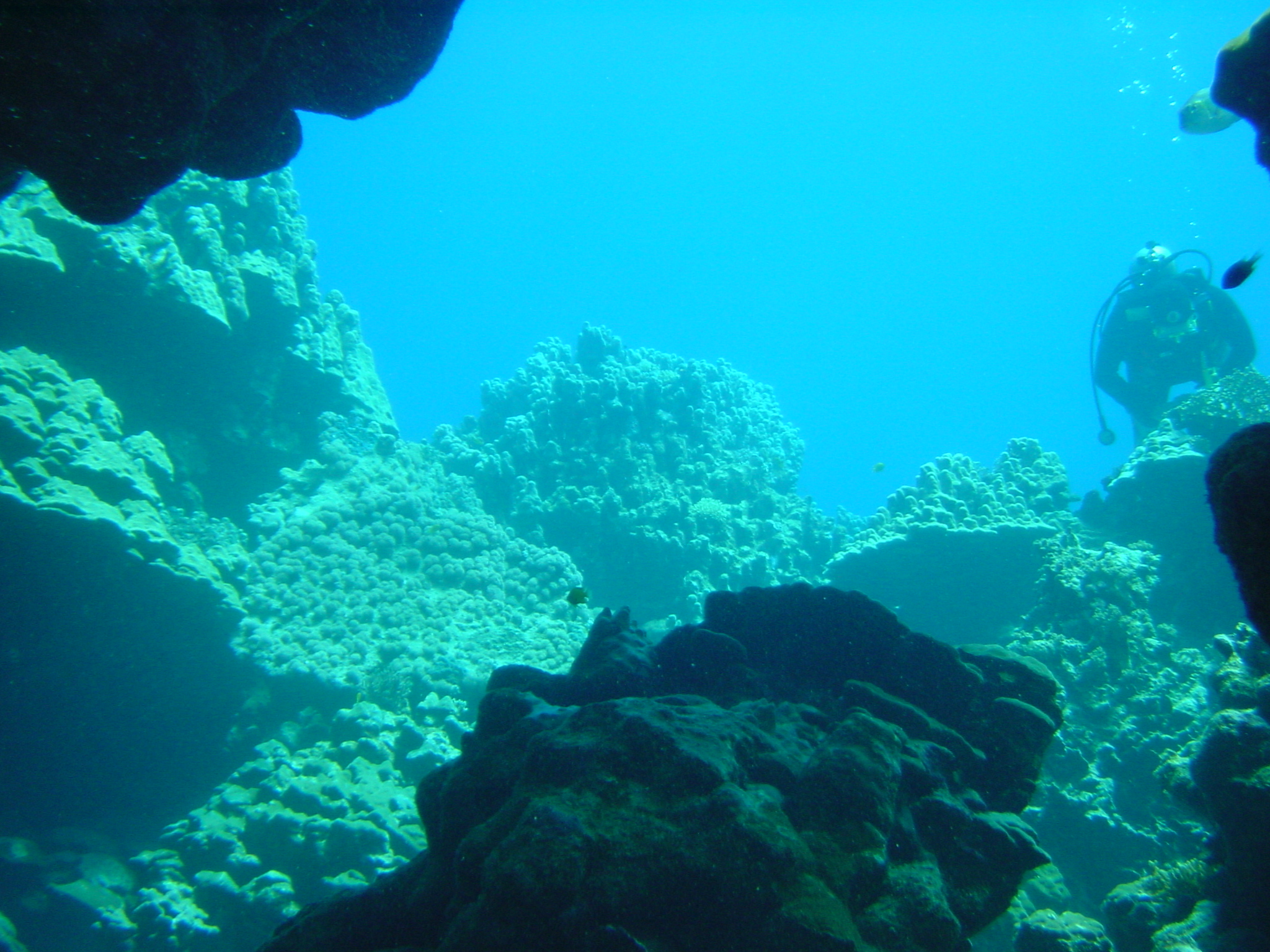 Klicken f�r Bild in voller Aufl�sung