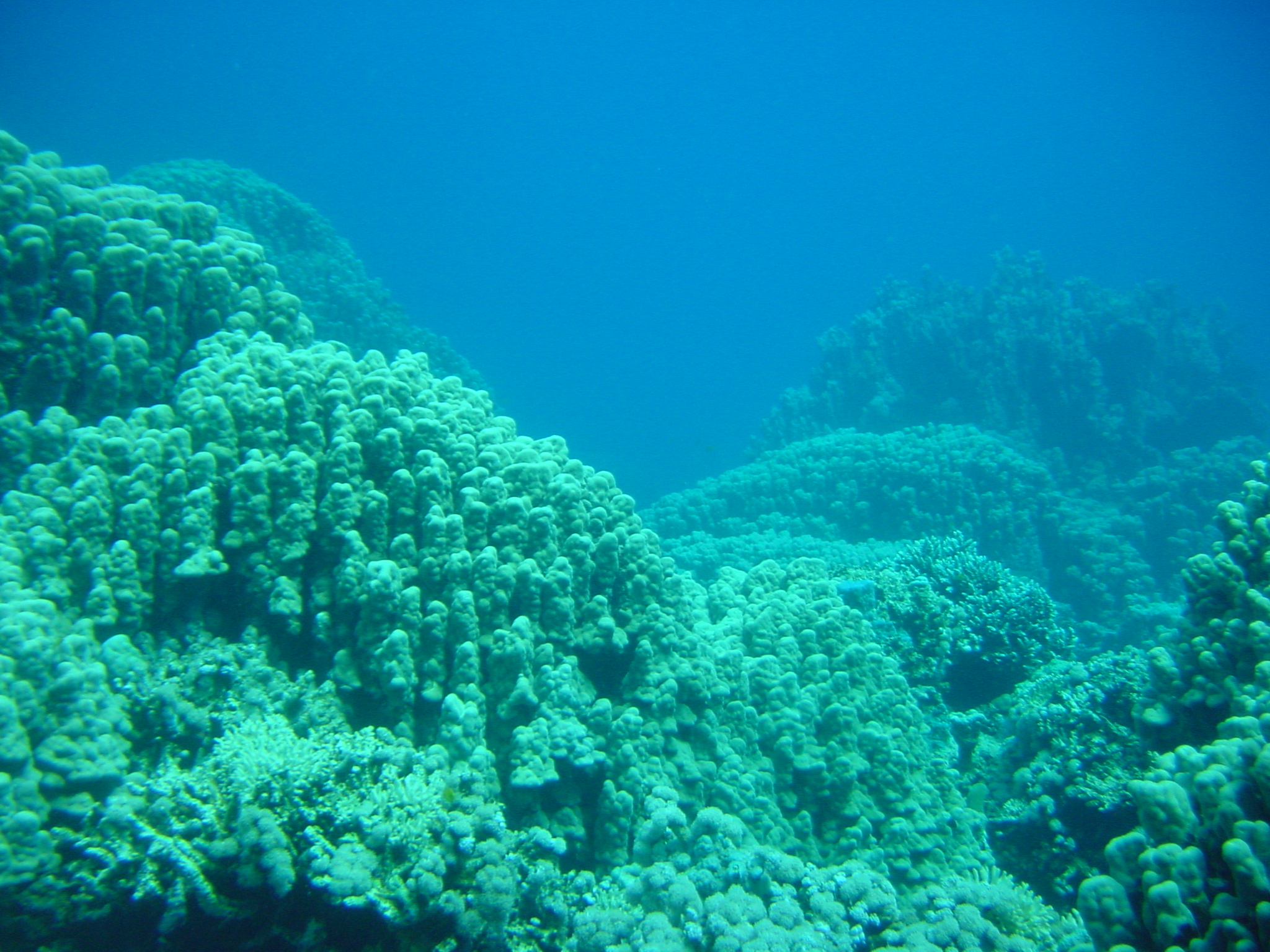 Klicken f�r Bild in voller Aufl�sung