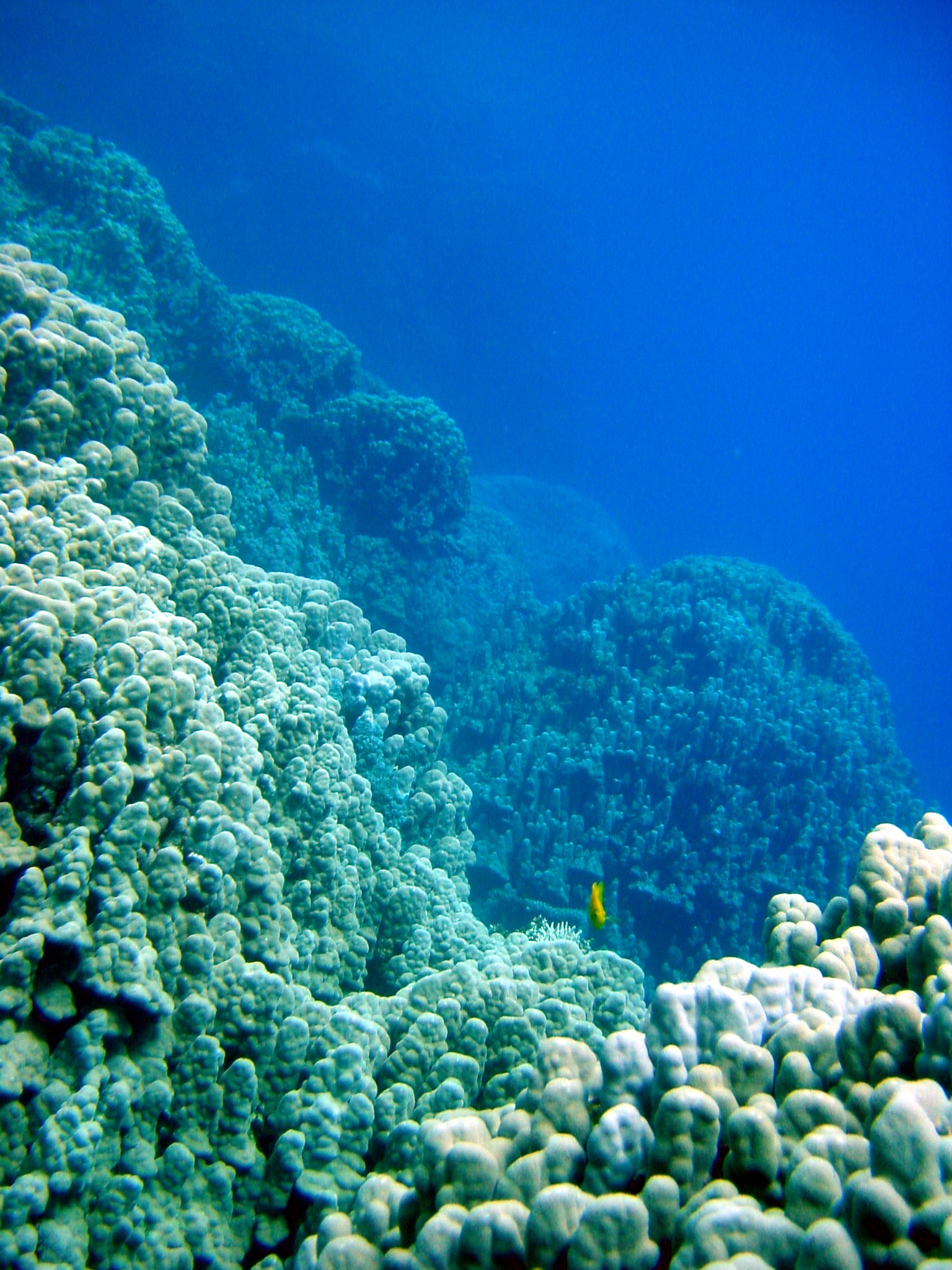 Klicken f�r Bild in voller Aufl�sung