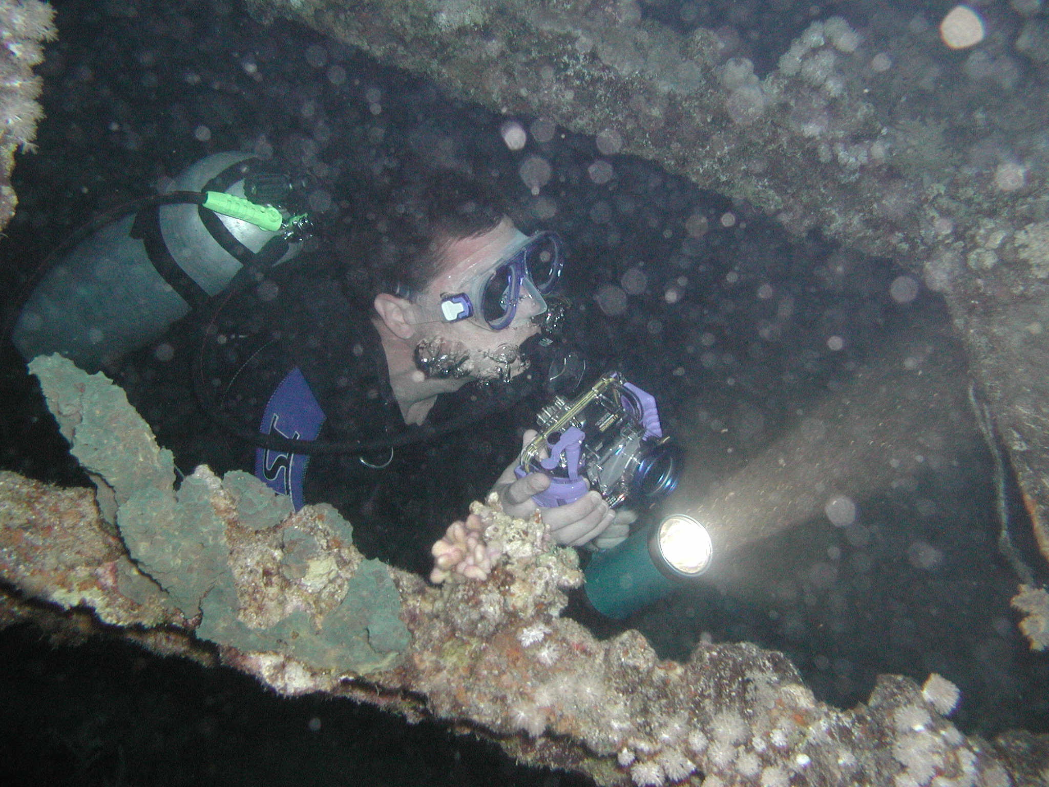 Klicken f�r Bild in voller Aufl�sung