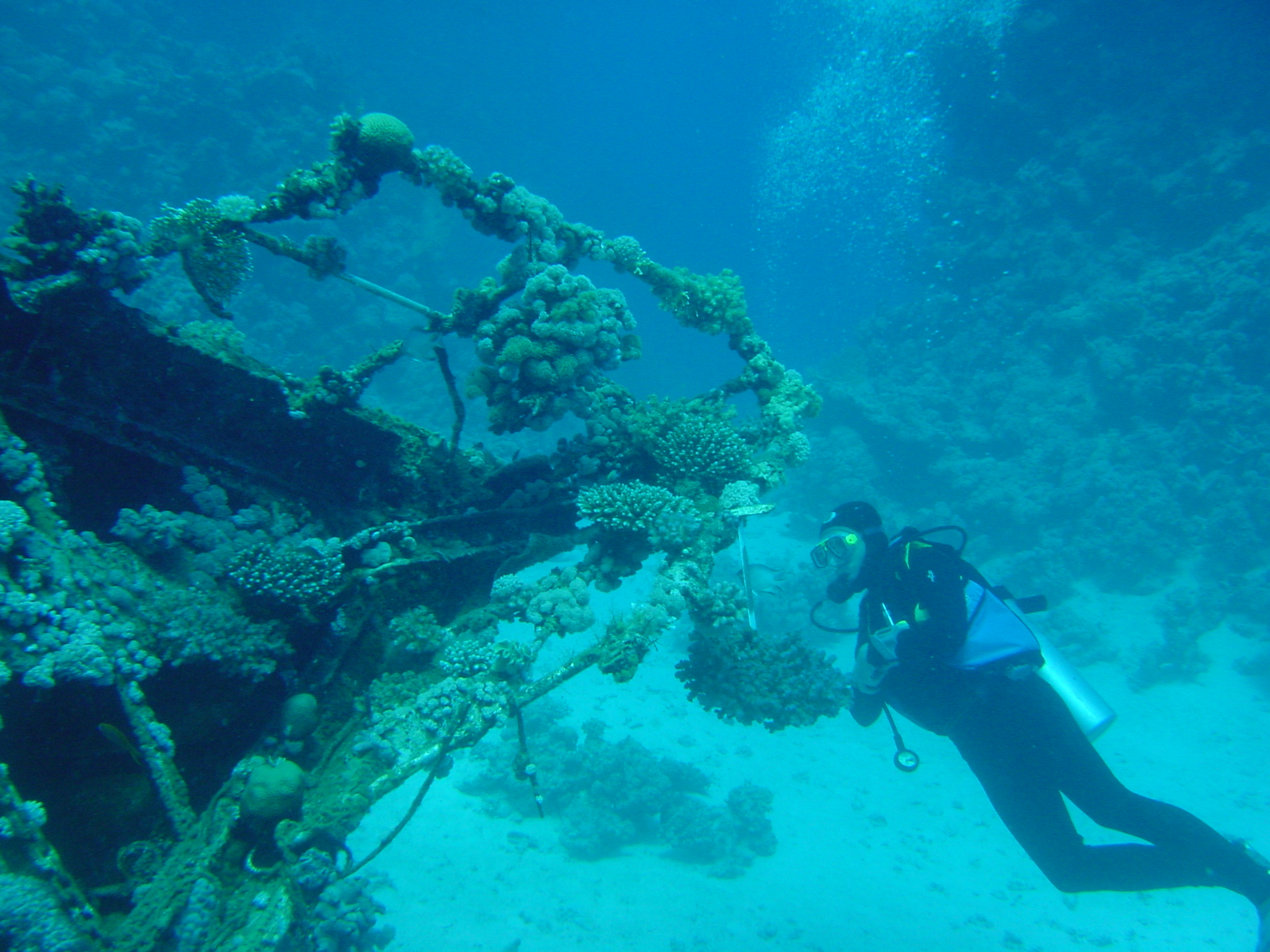 Klicken f�r Bild in voller Aufl�sung