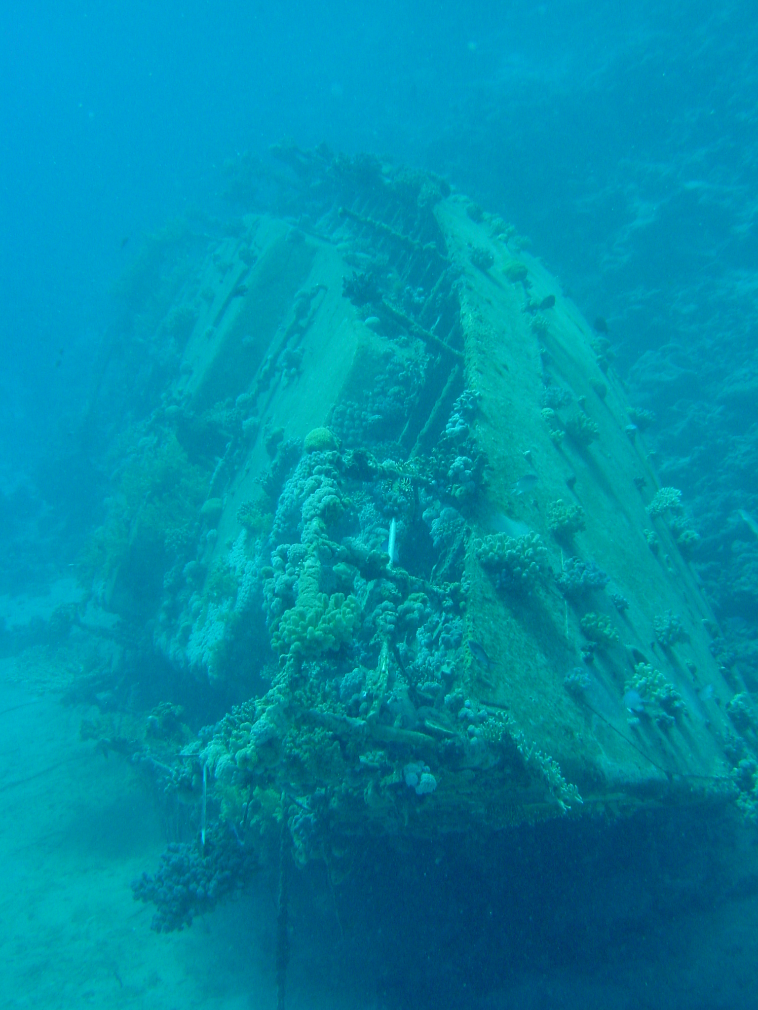 Klicken f�r Bild in voller Aufl�sung