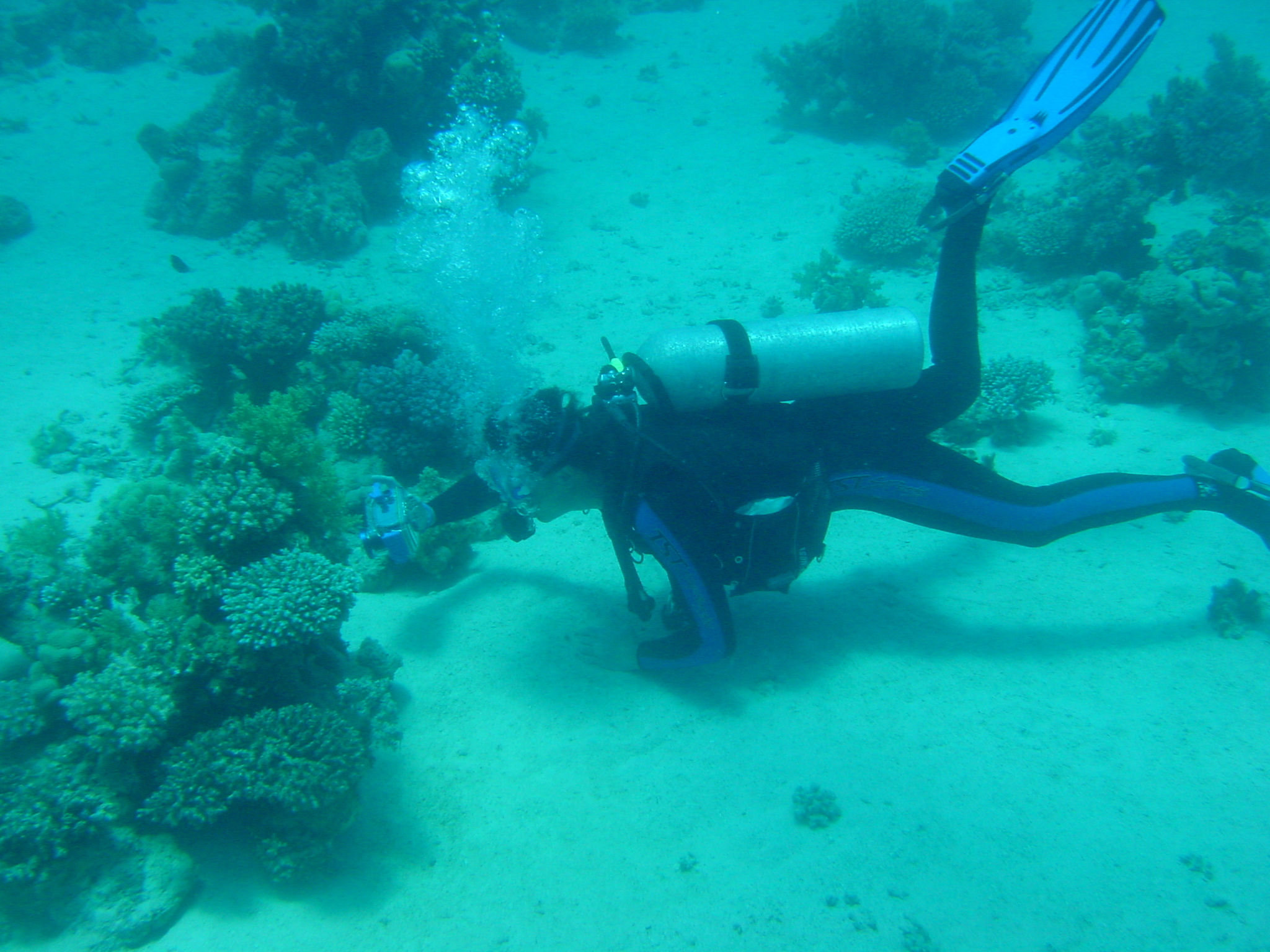 Klicken f�r Bild in voller Aufl�sung