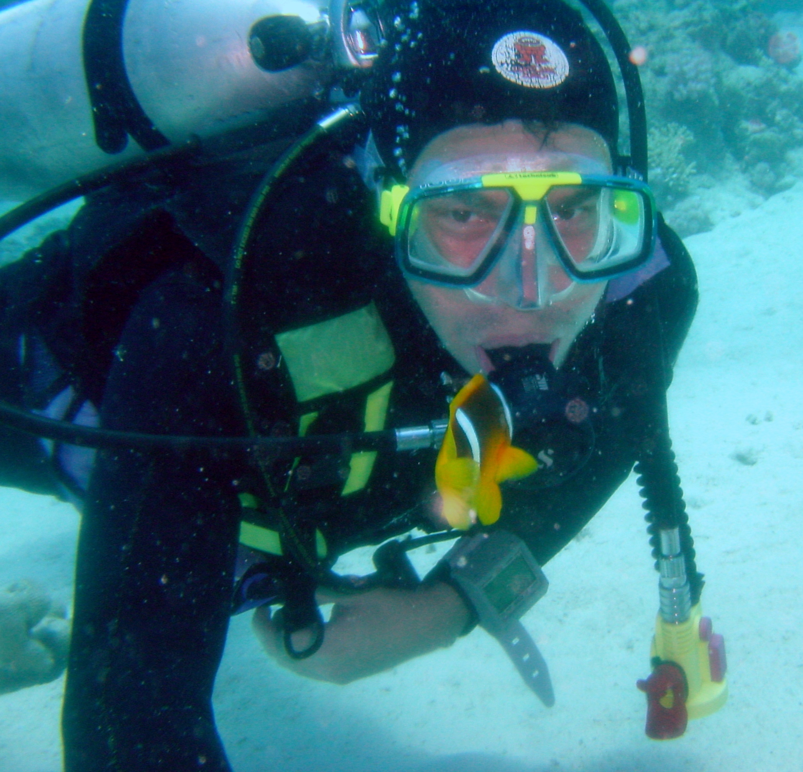 Klicken f�r Bild in voller Aufl�sung