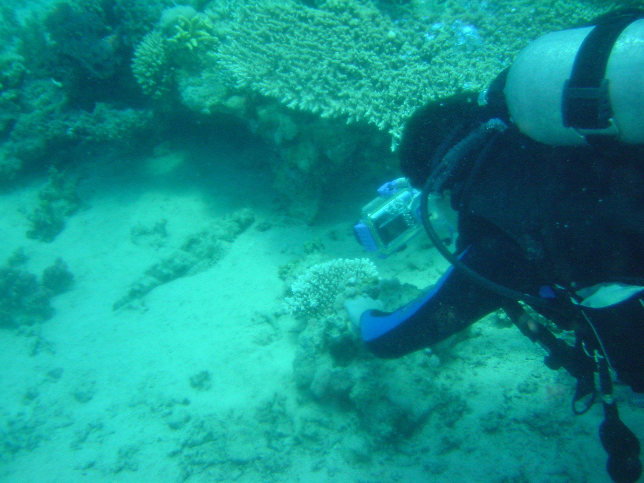 Klicken f�r Bild in voller Aufl�sung