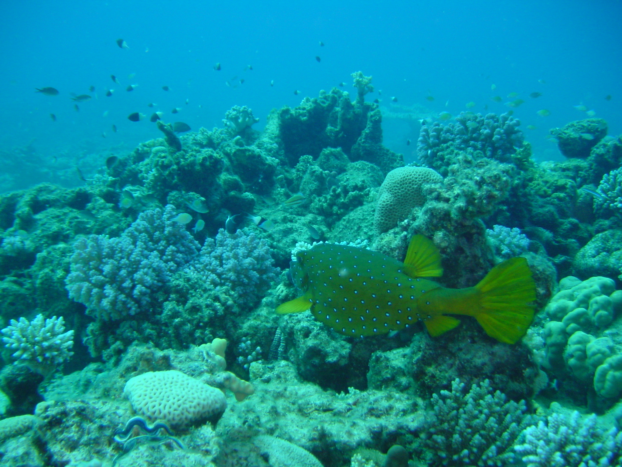 Klicken f�r Bild in voller Aufl�sung