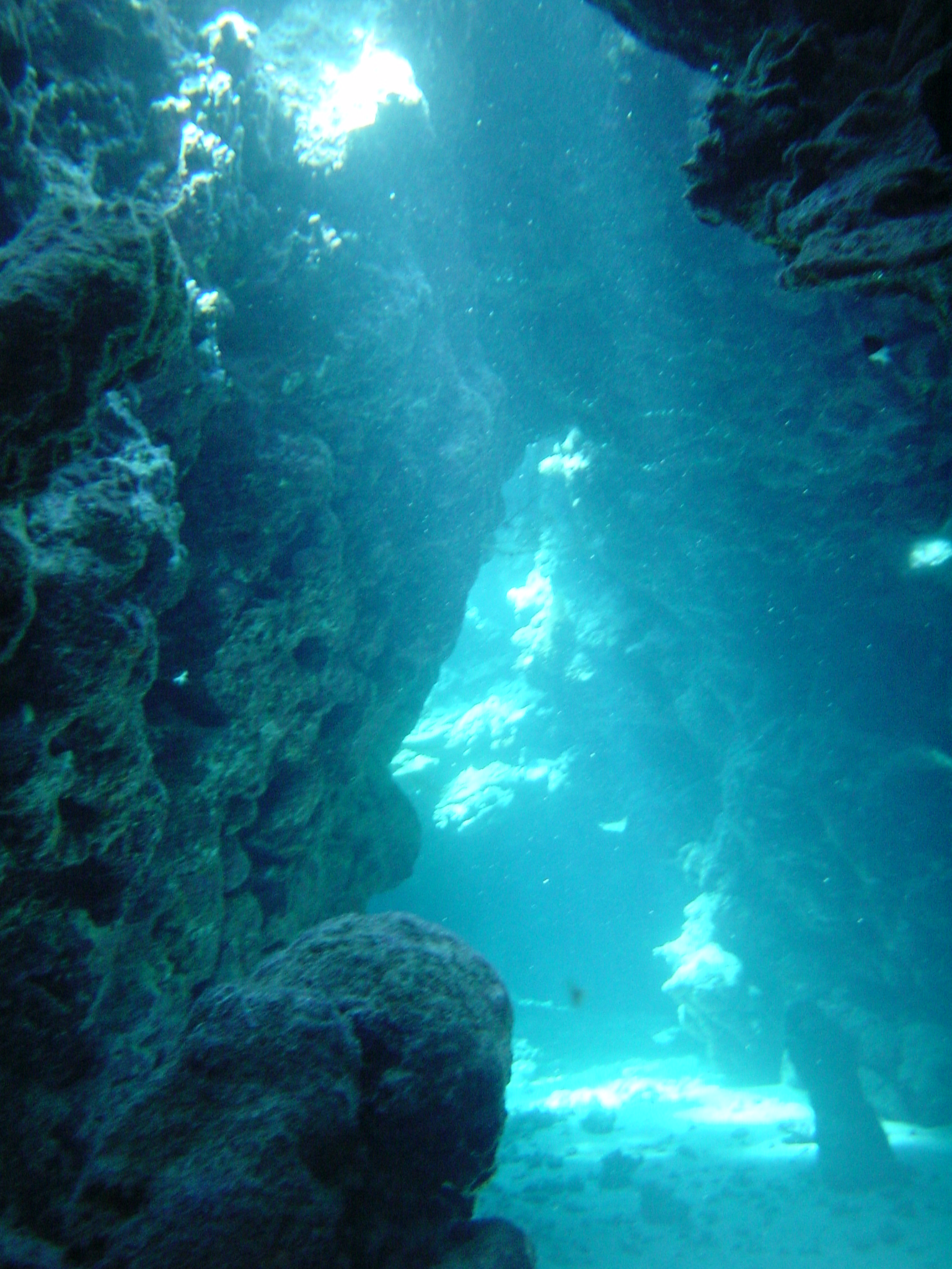 Klicken f�r Bild in voller Aufl�sung