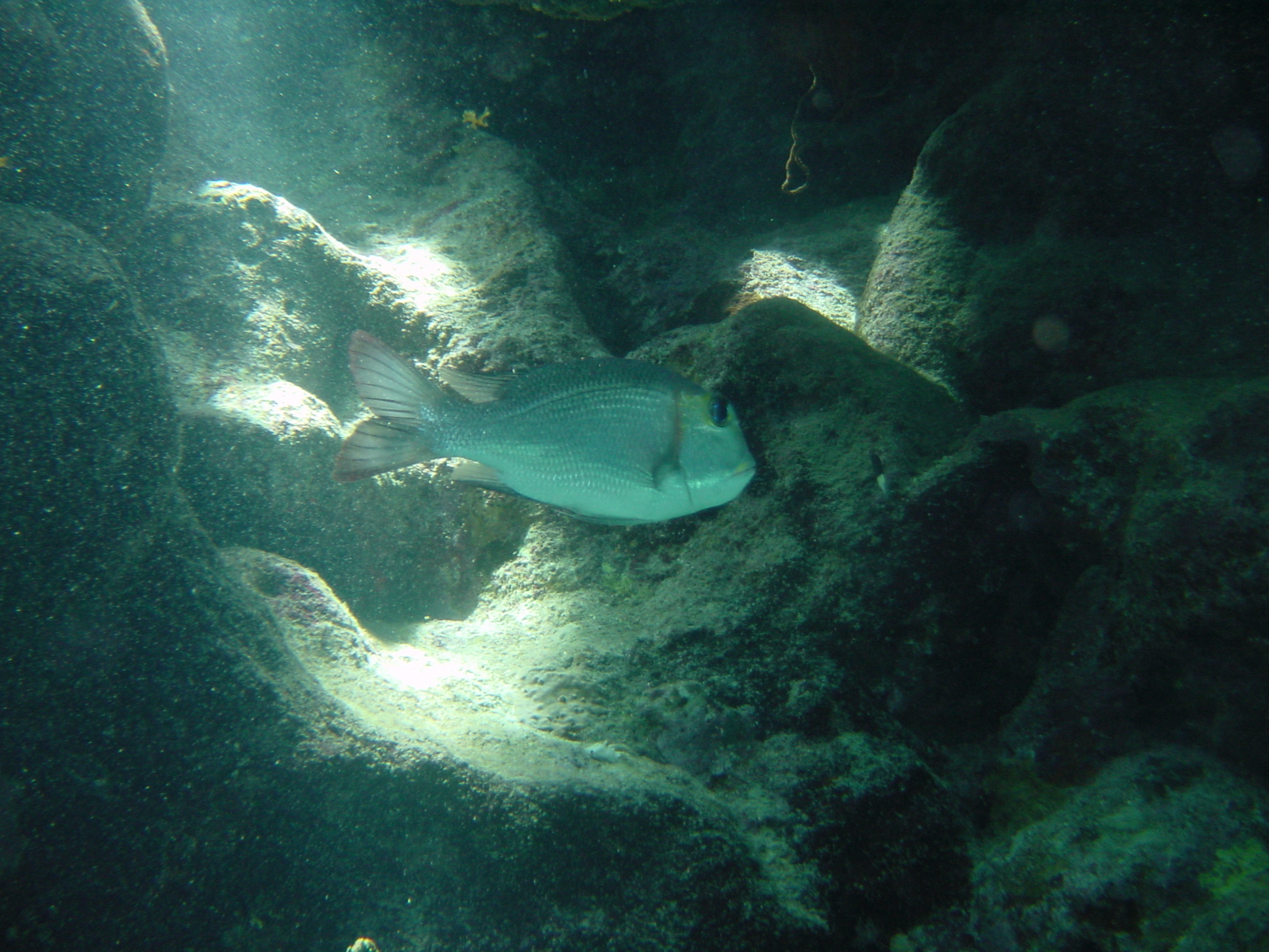 Klicken f�r Bild in voller Aufl�sung